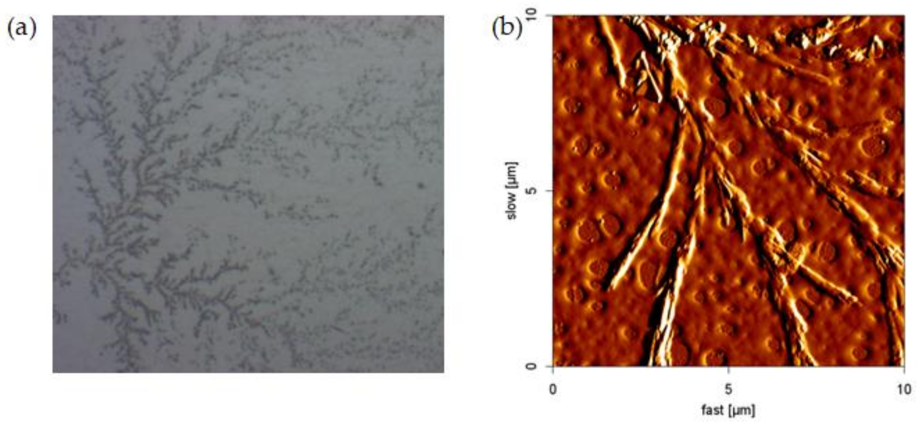 Sustainability 14 01742 g006
