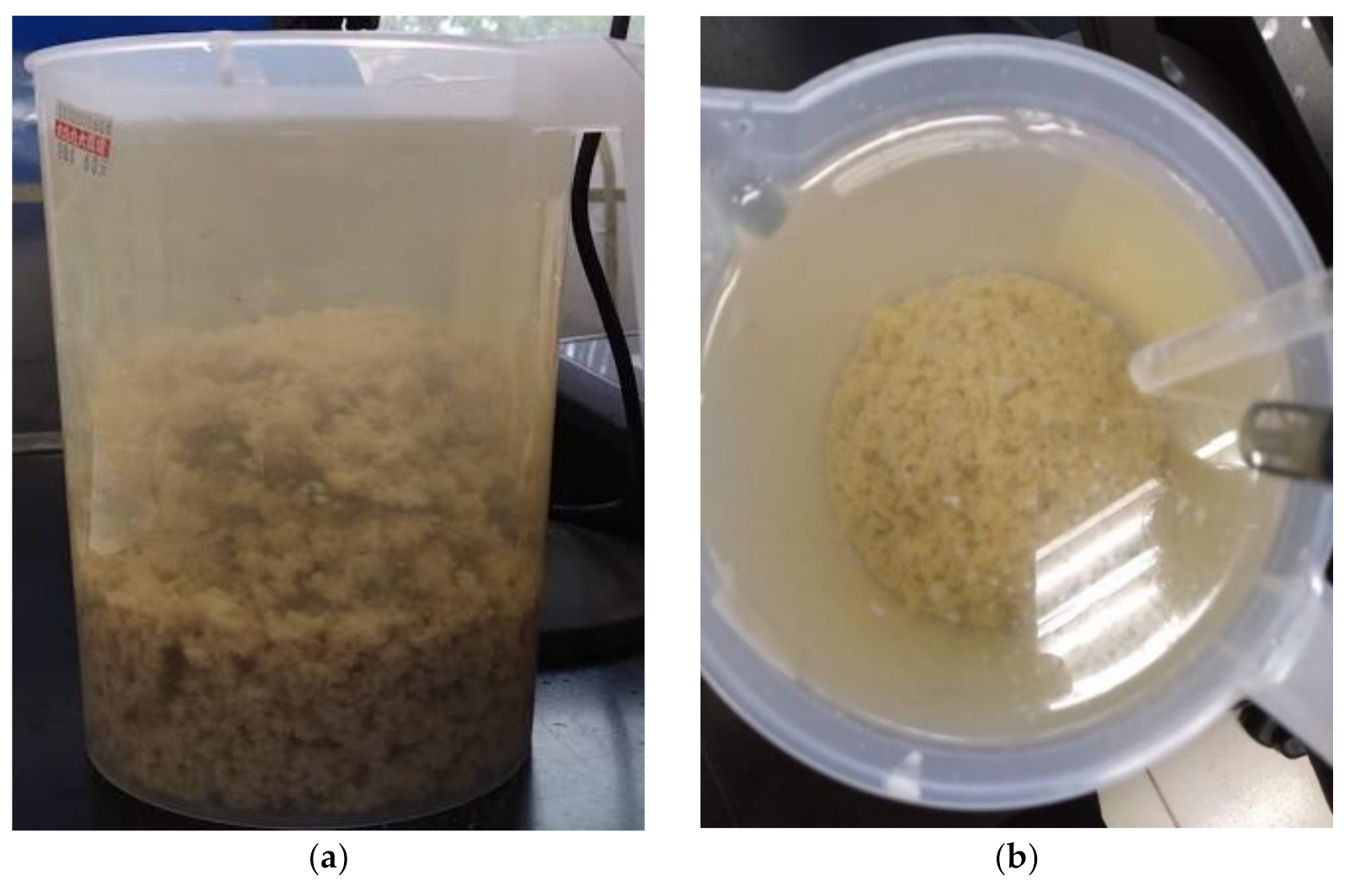 Sustainability 14 01742 g008