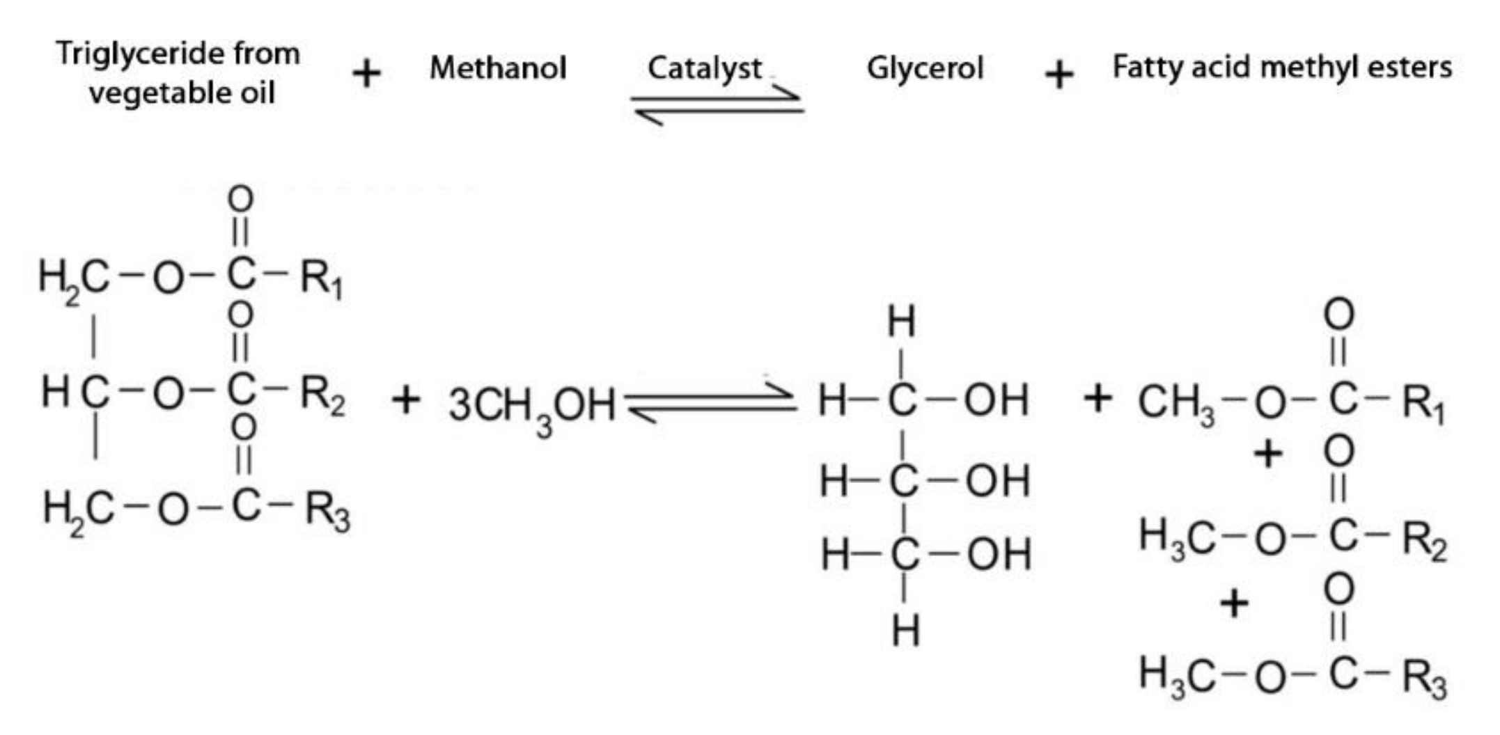 Sustainability 14 01747 g001