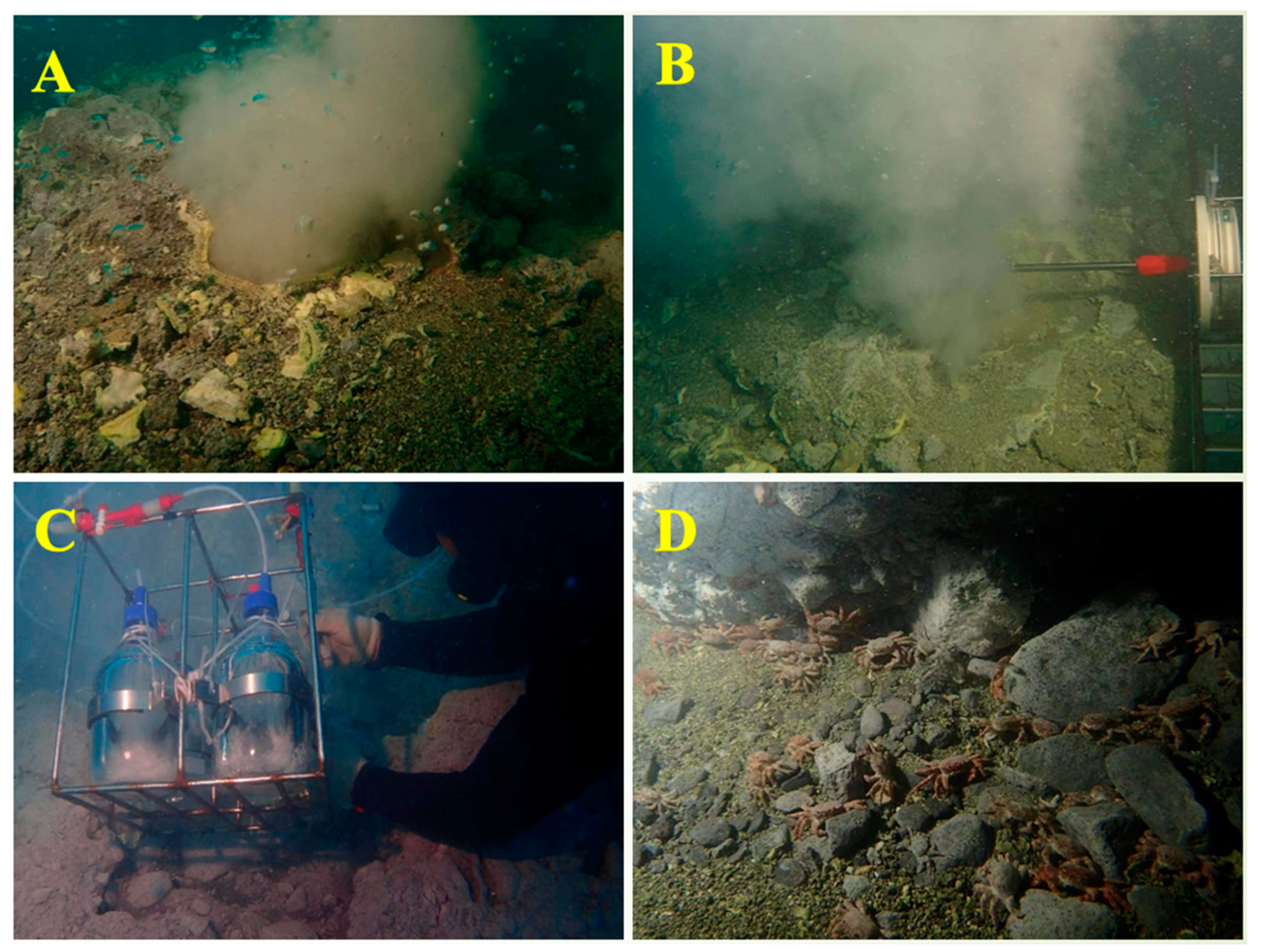 Sustainability 14 01754 g002 550