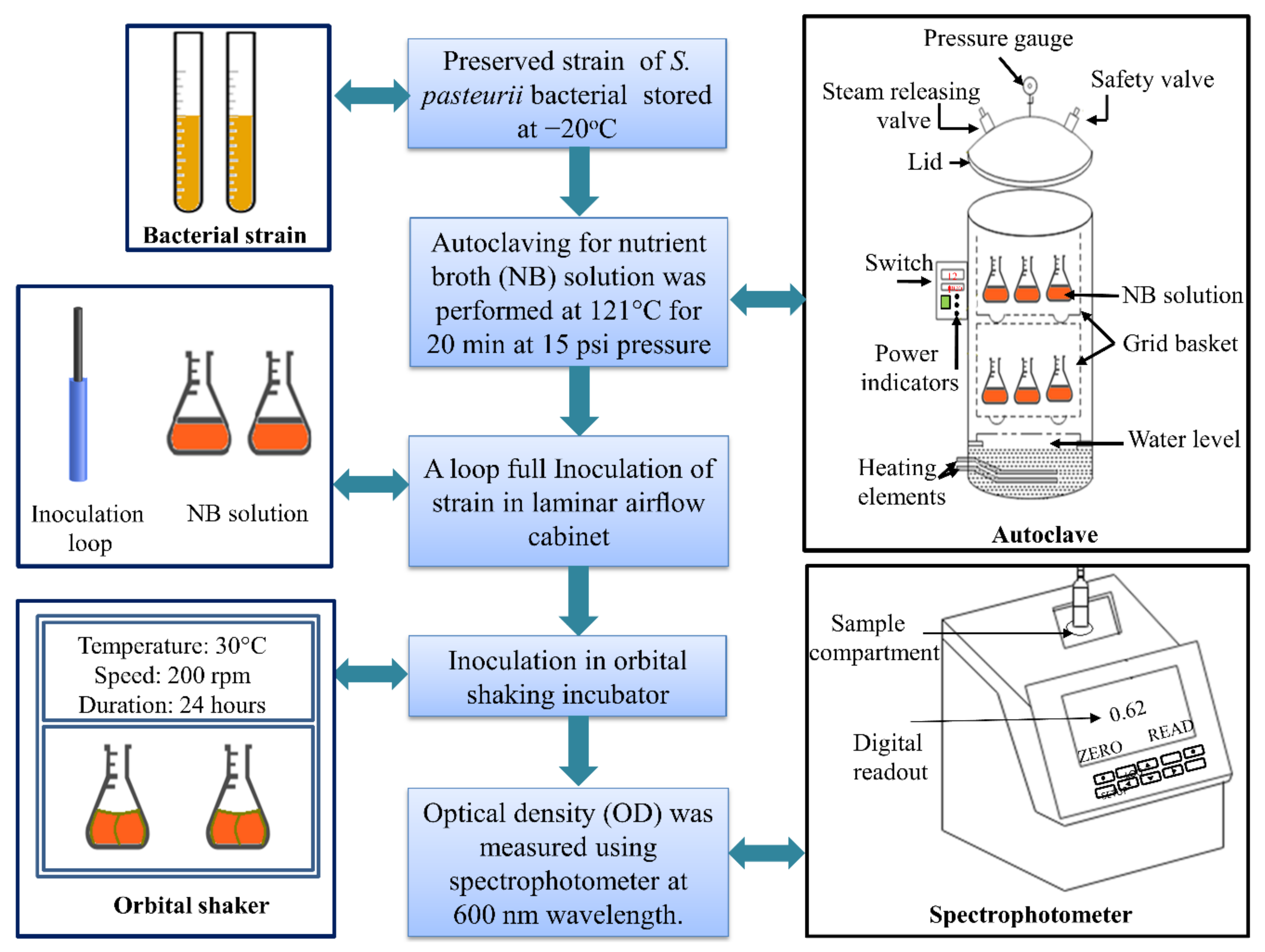 Sustainability 14 01770 g003