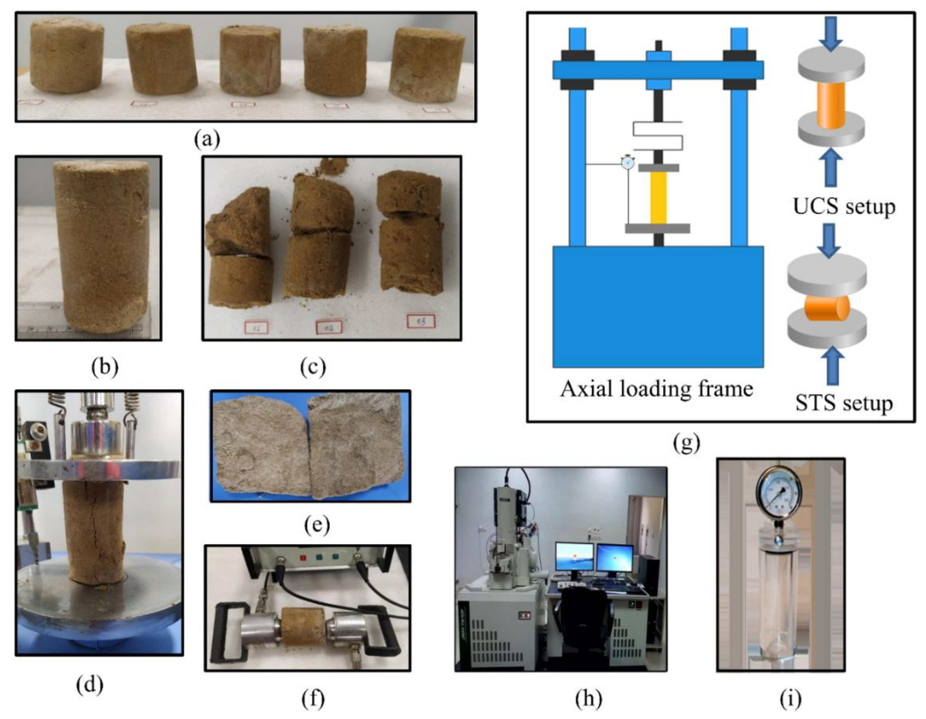 Sustainability 14 01770 g005
