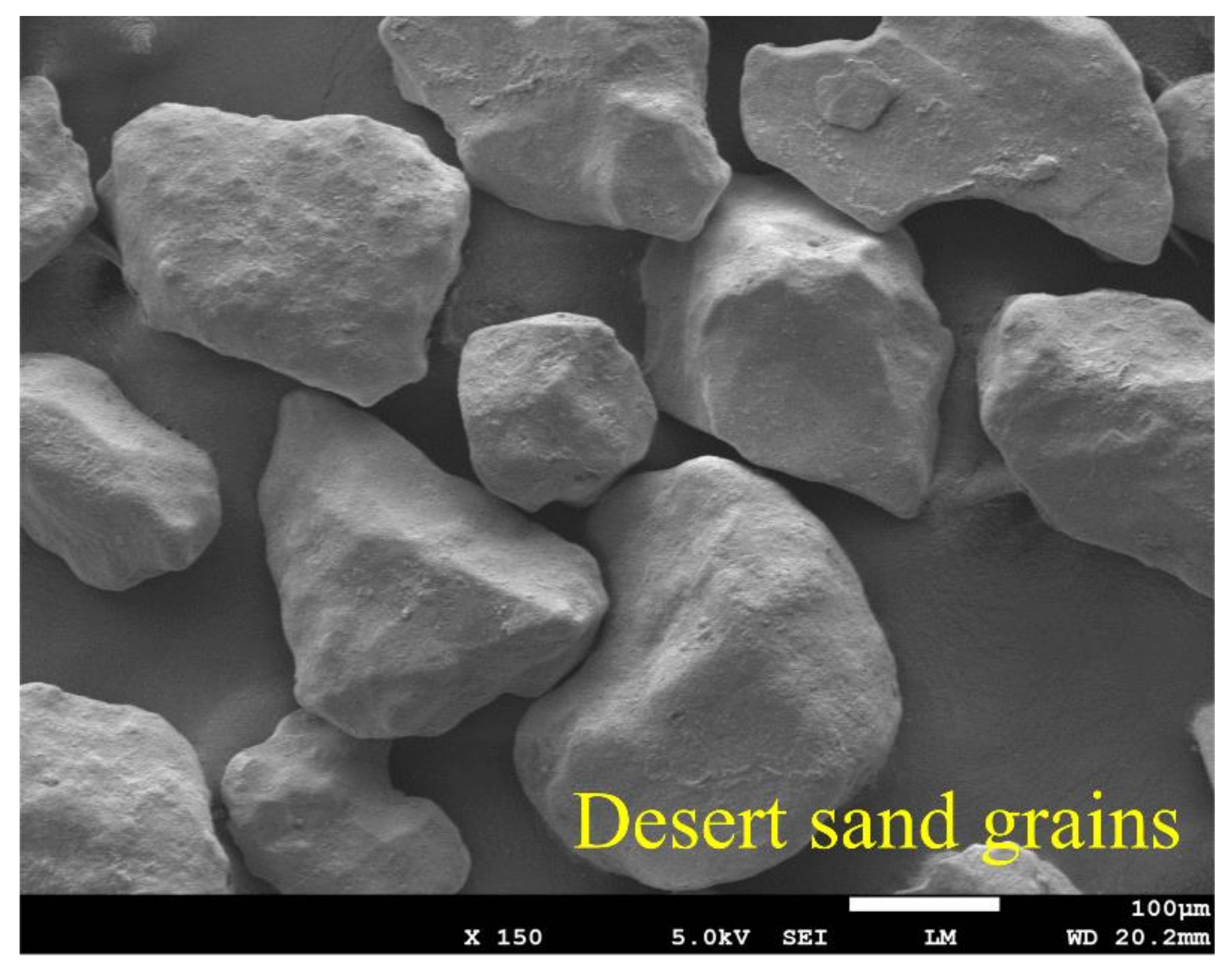 Sustainability 14 01770 g010