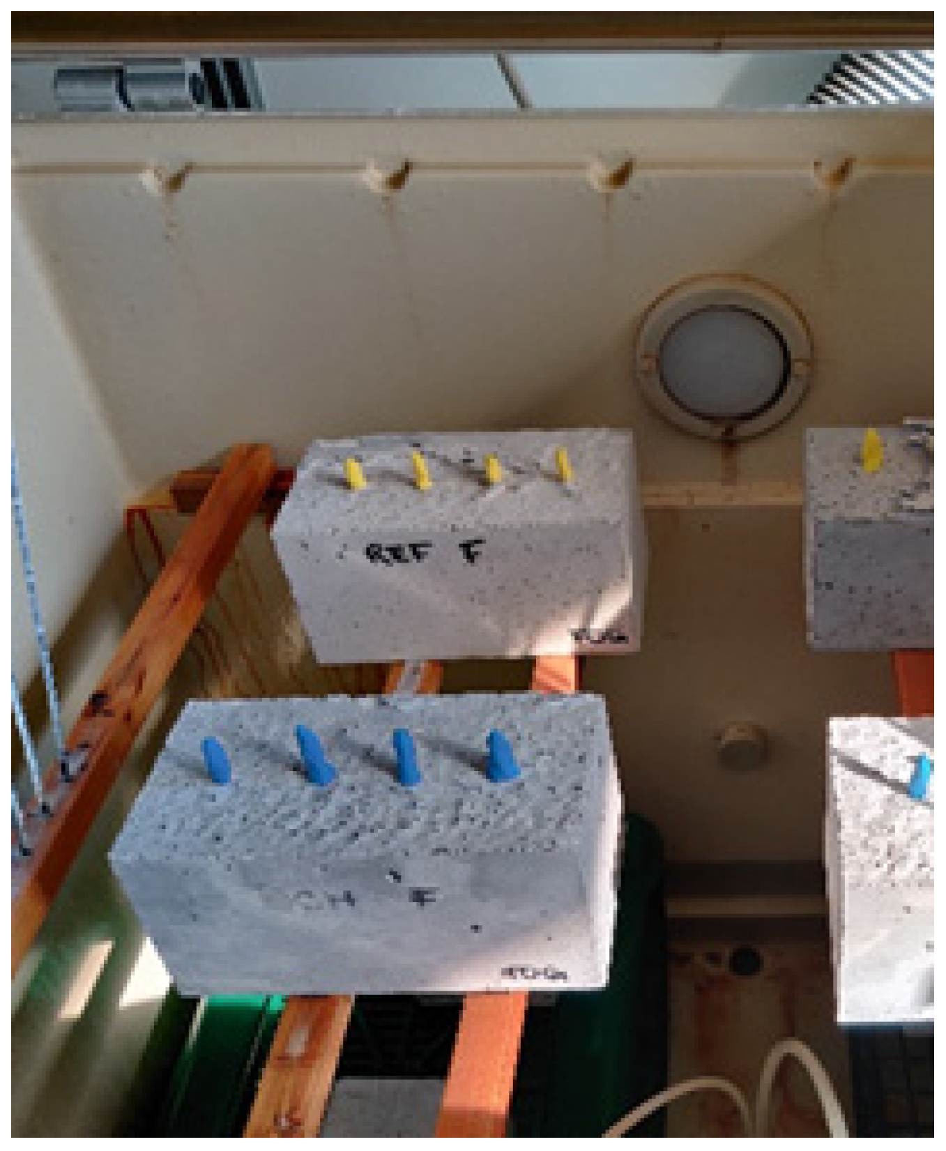 Sustainability 14 01775 g005