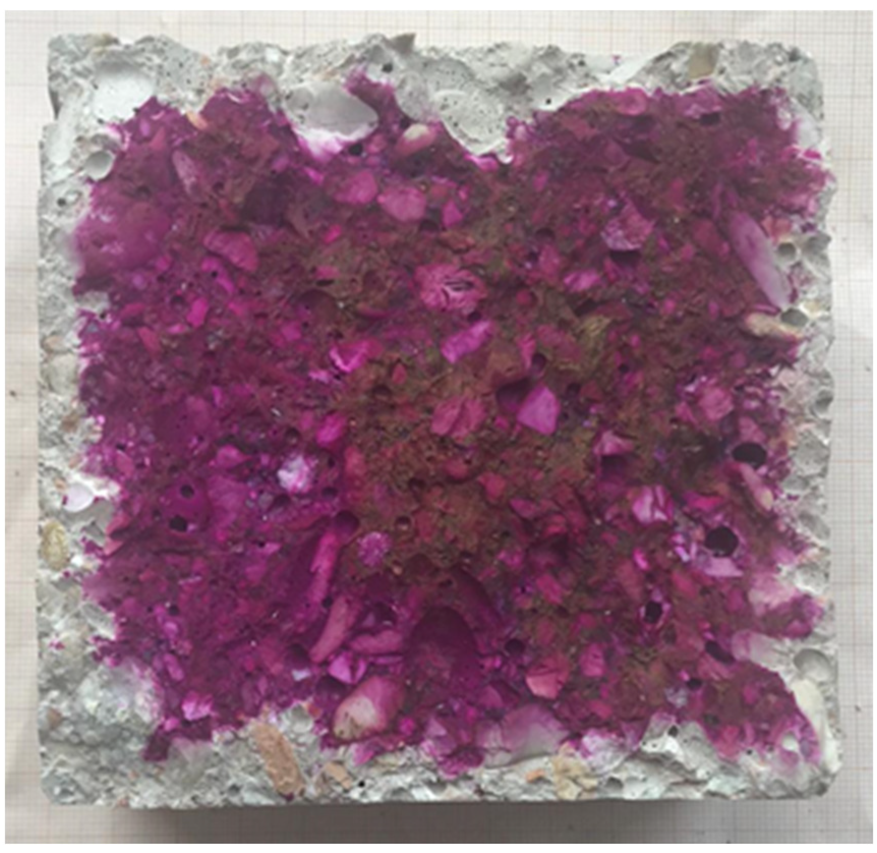 Sustainability 14 01775 g007