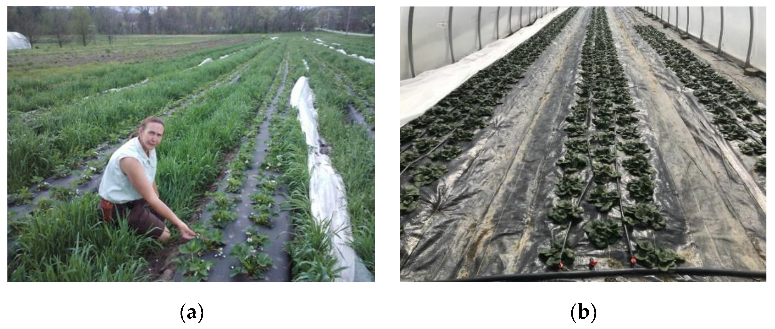 Sustainability 14 01778 g001