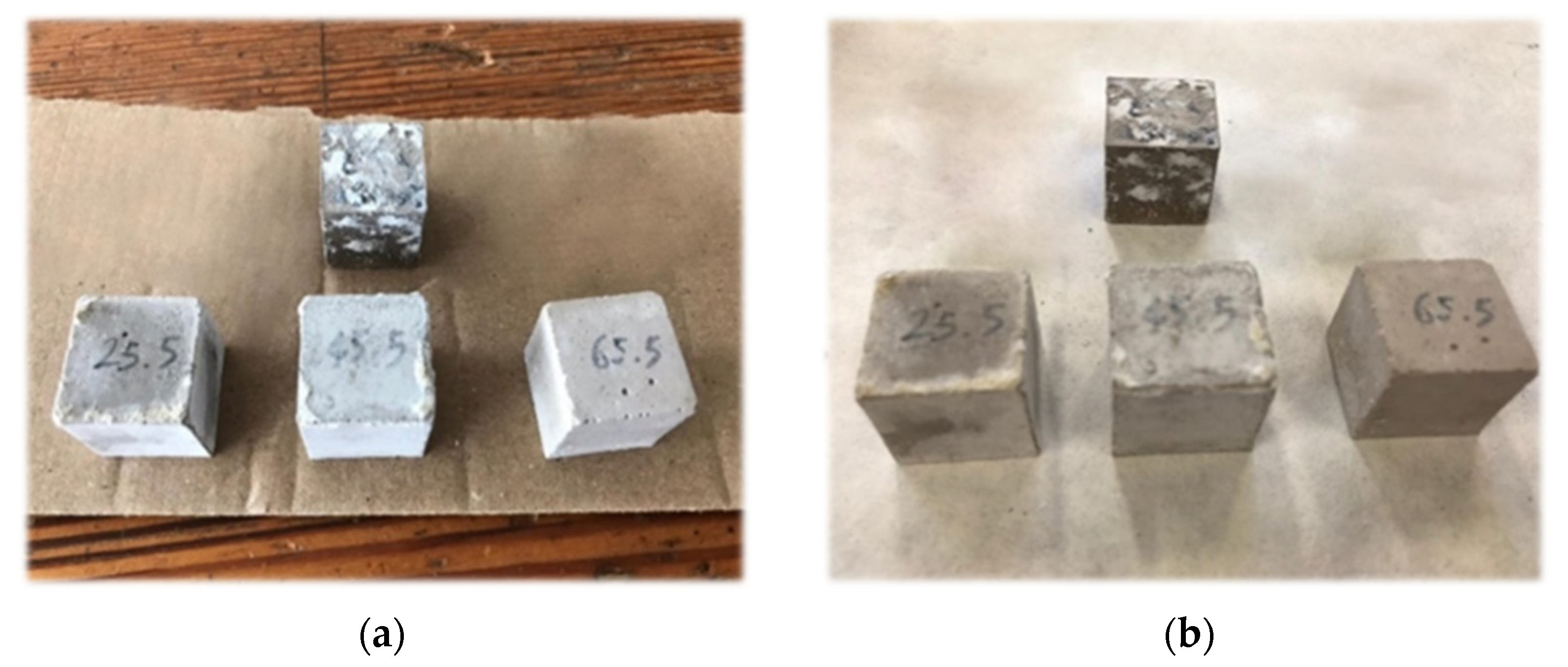 Sustainability 14 01848 g001 550