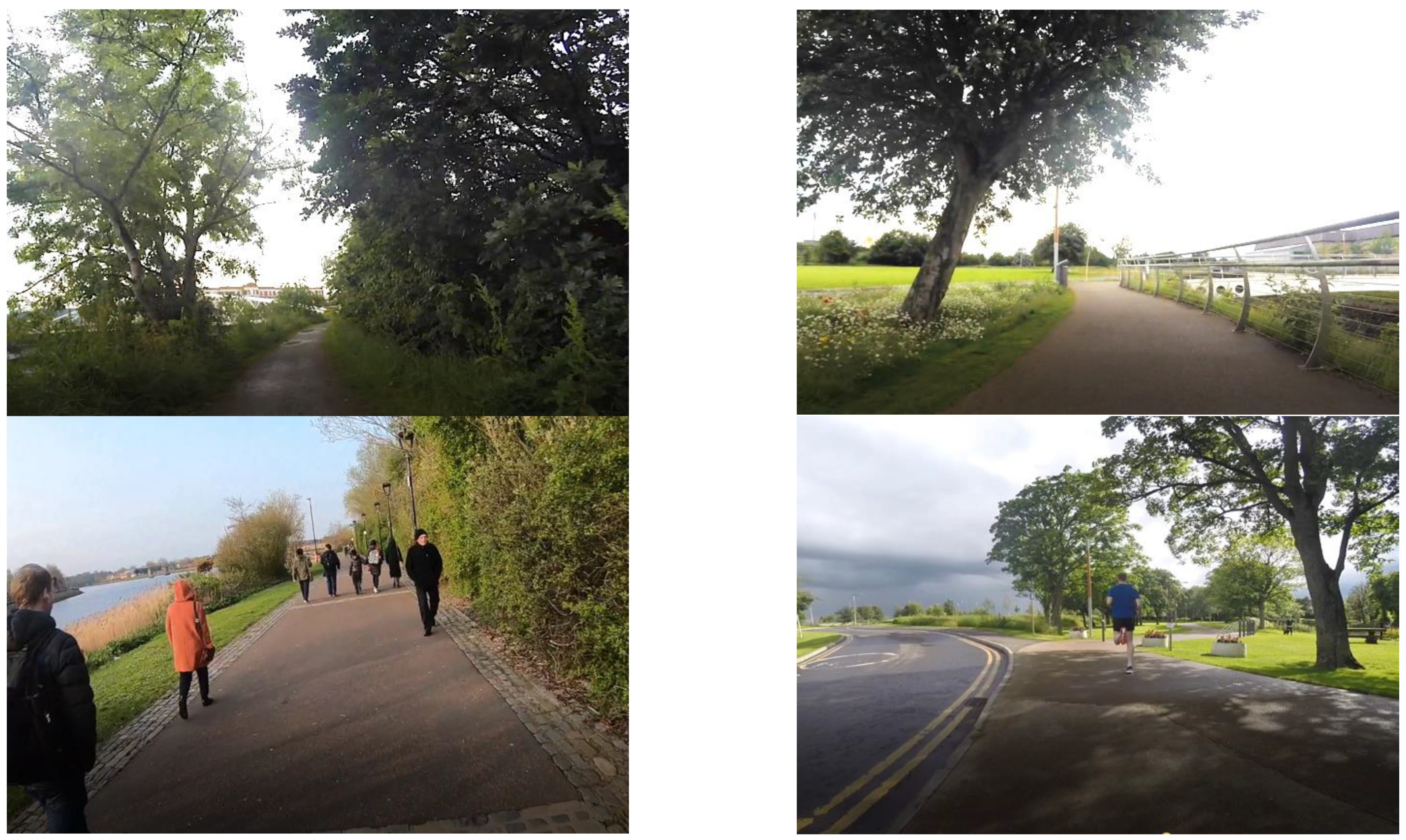 Sustainability 14 01873 g004