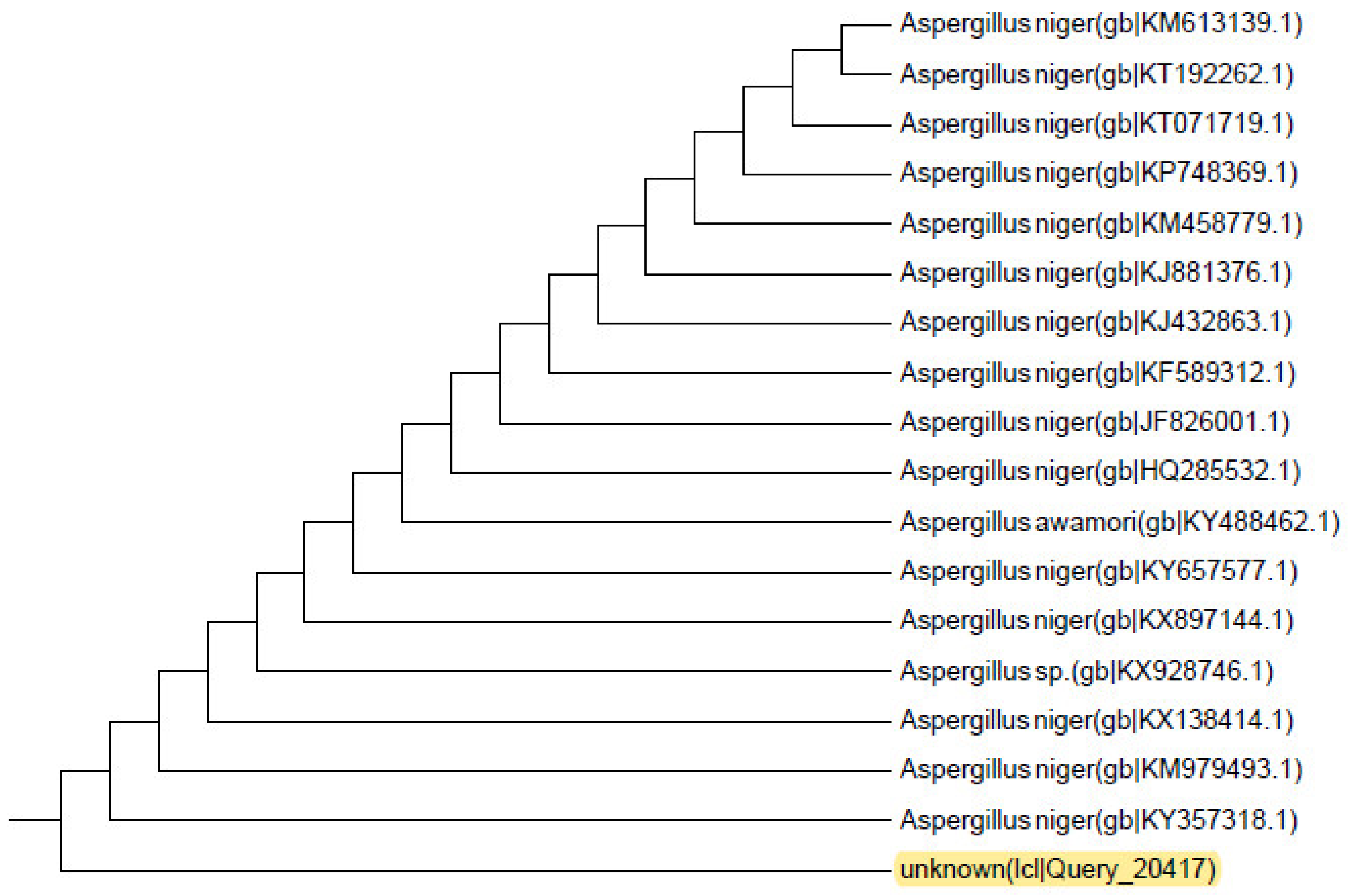 Sustainability 14 01936 g002 Sustainability 14 01936 g002