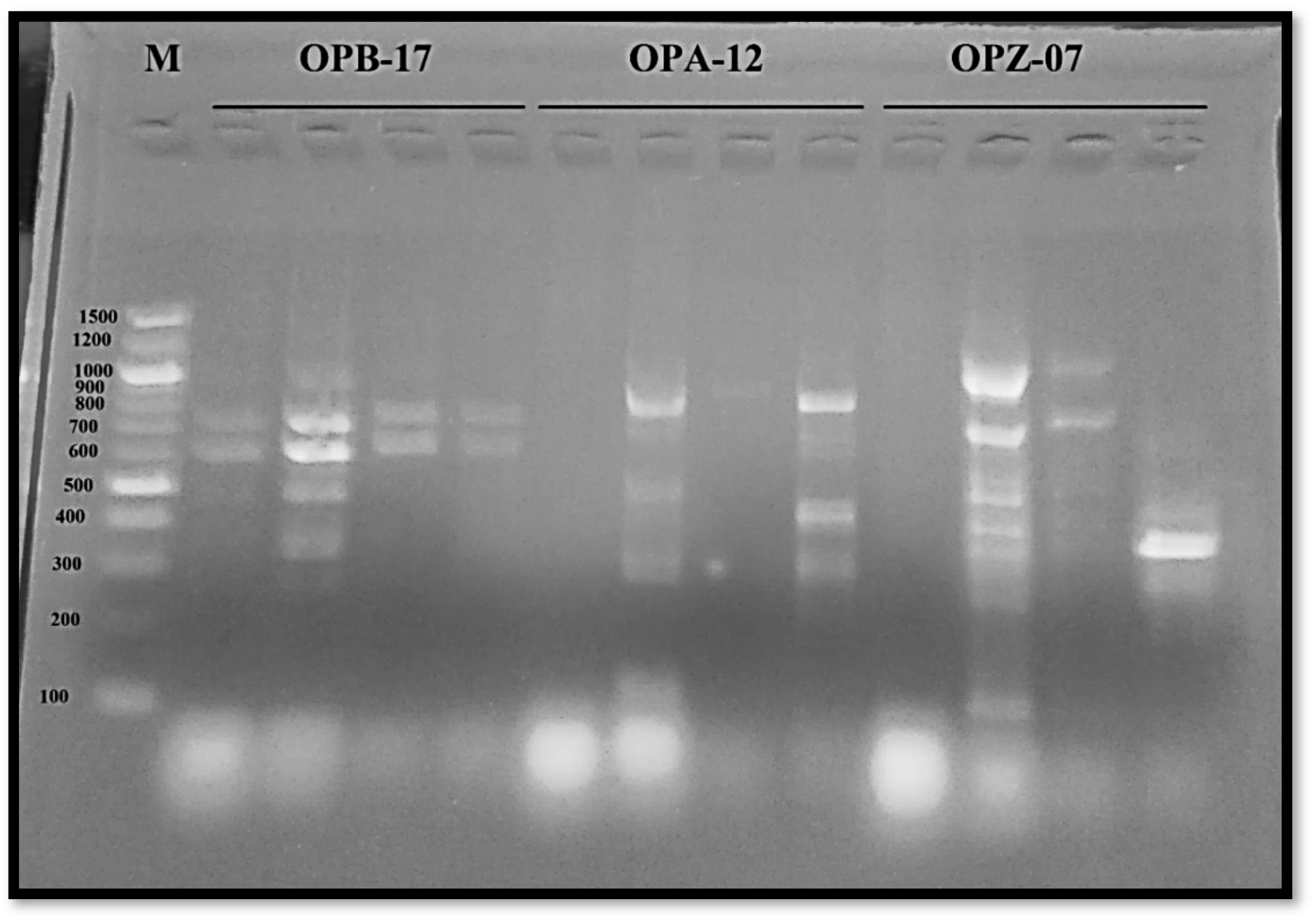 Sustainability 14 01936 g003 Sustainability 14 01936 g003