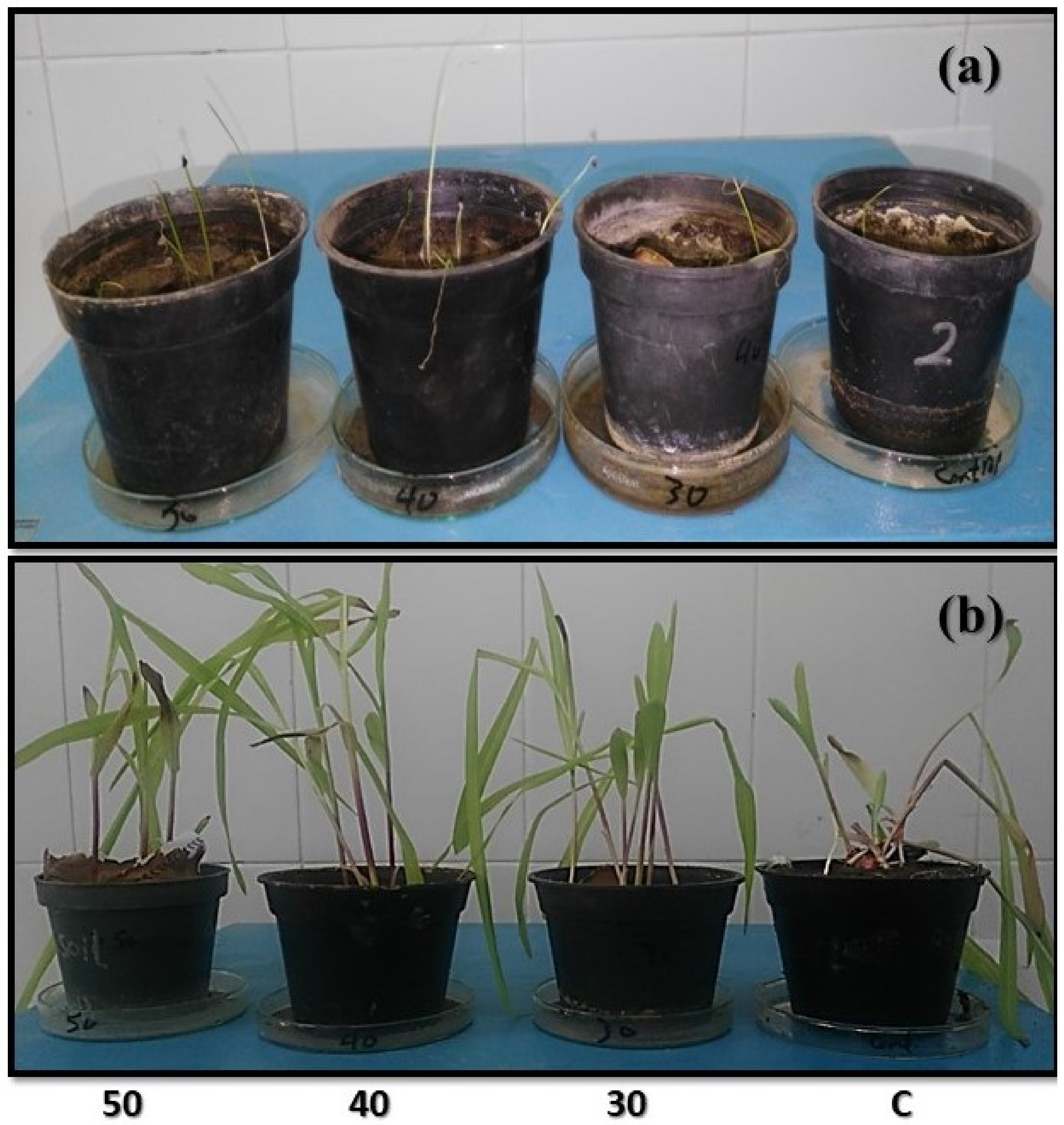 Sustainability 14 01936 g005 Sustainability 14 01936 g005