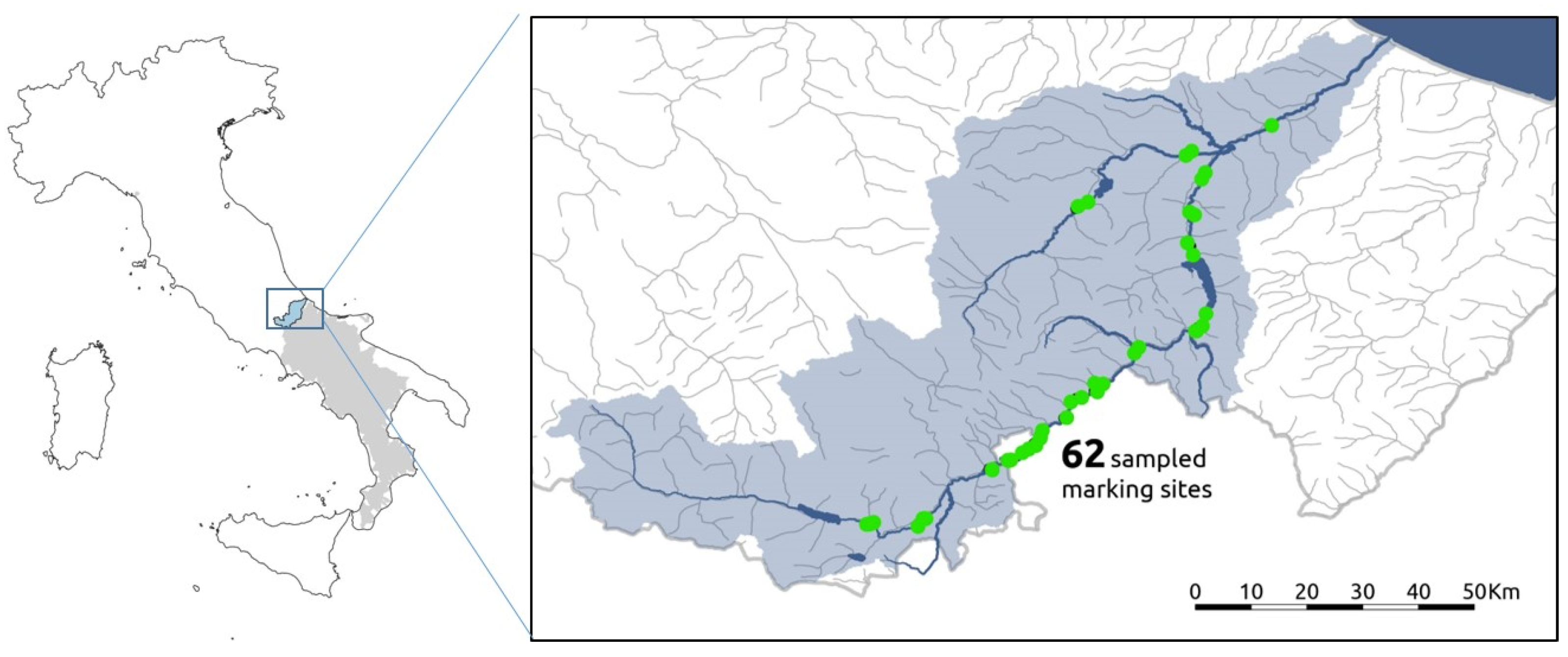 Sustainability 14 01943 g001 Sustainability 14 01943 g001