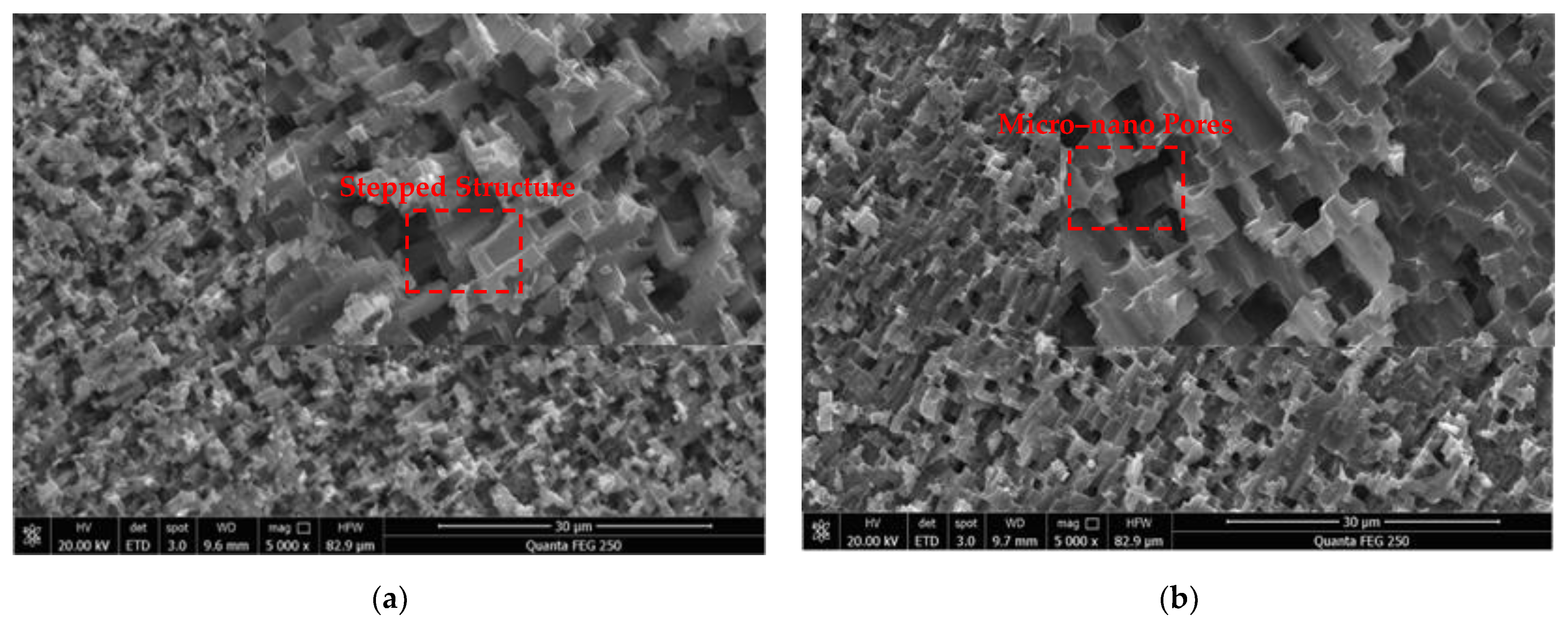 Sustainability 14 01954 g002