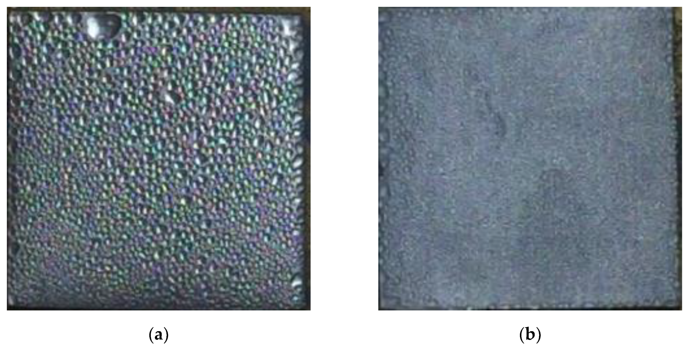 Sustainability 14 01954 g004