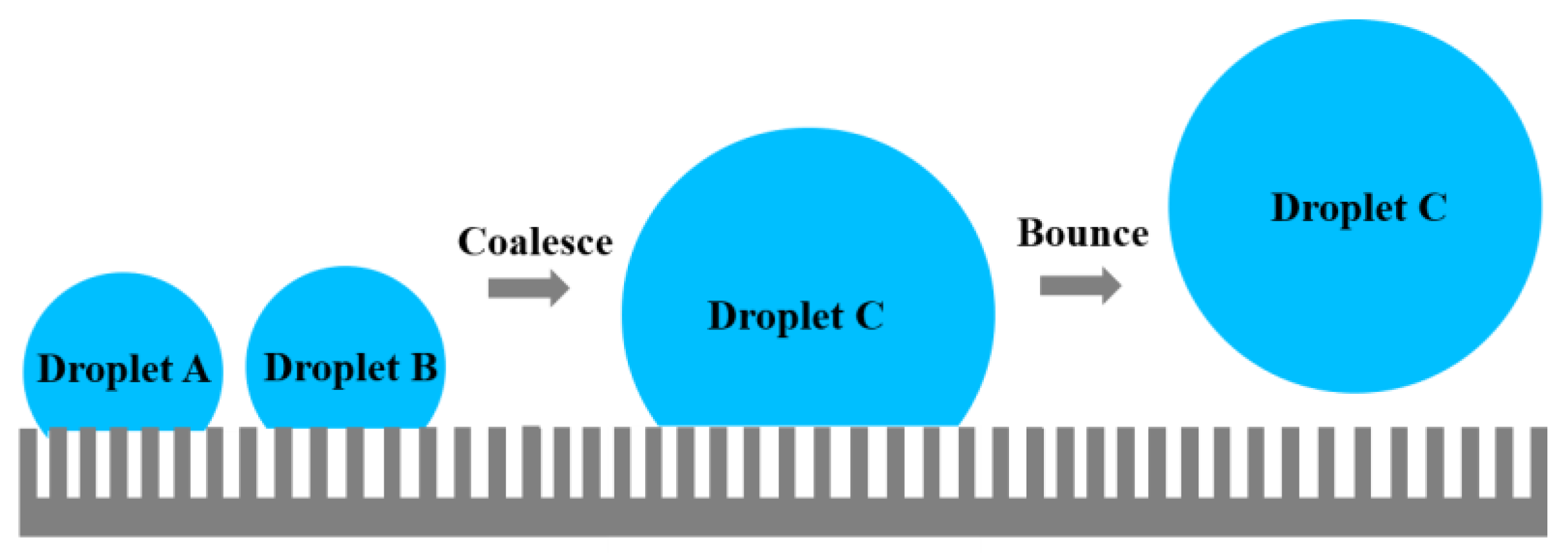 Sustainability 14 01954 g006