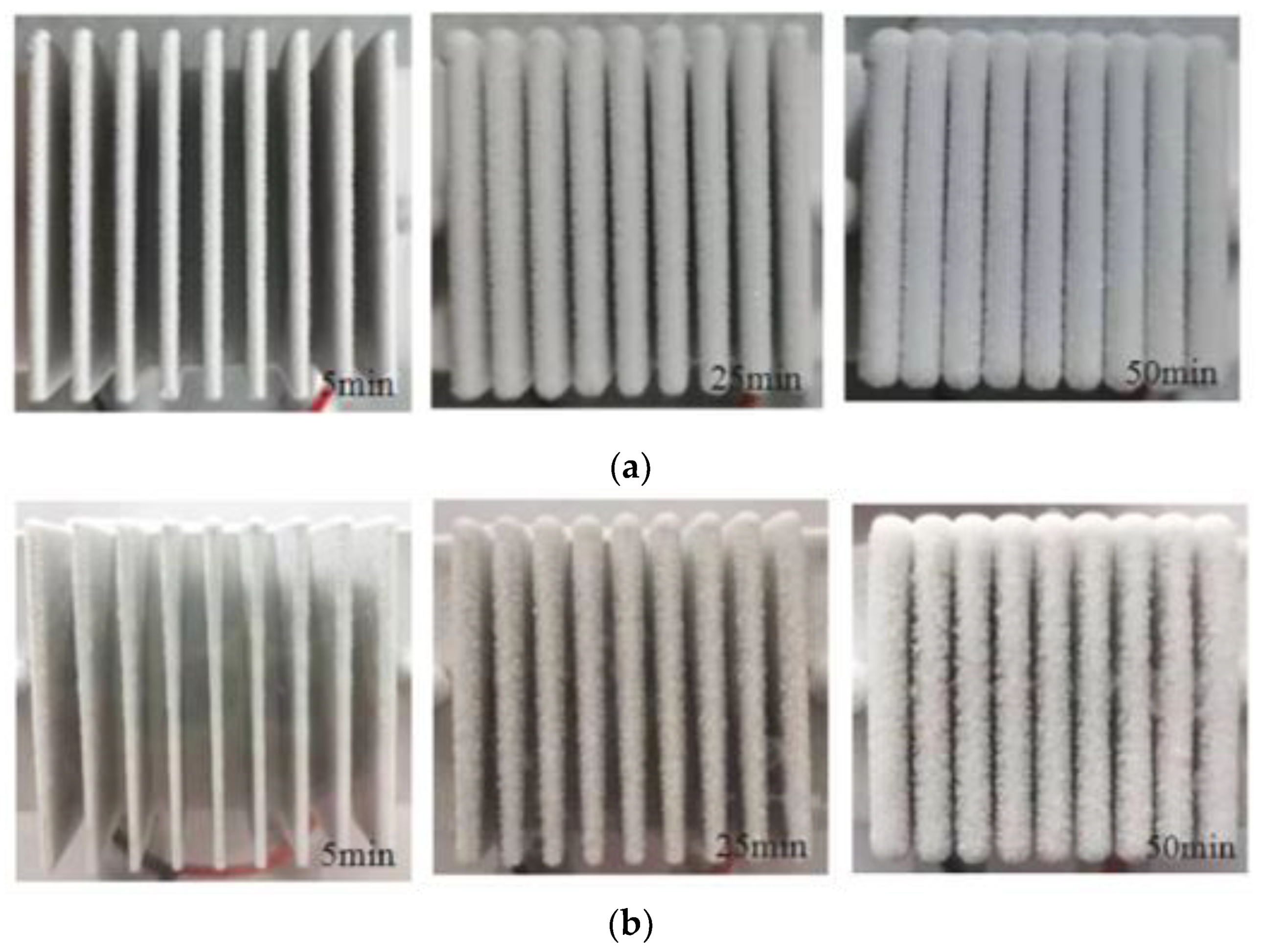 Sustainability 14 01954 g010
