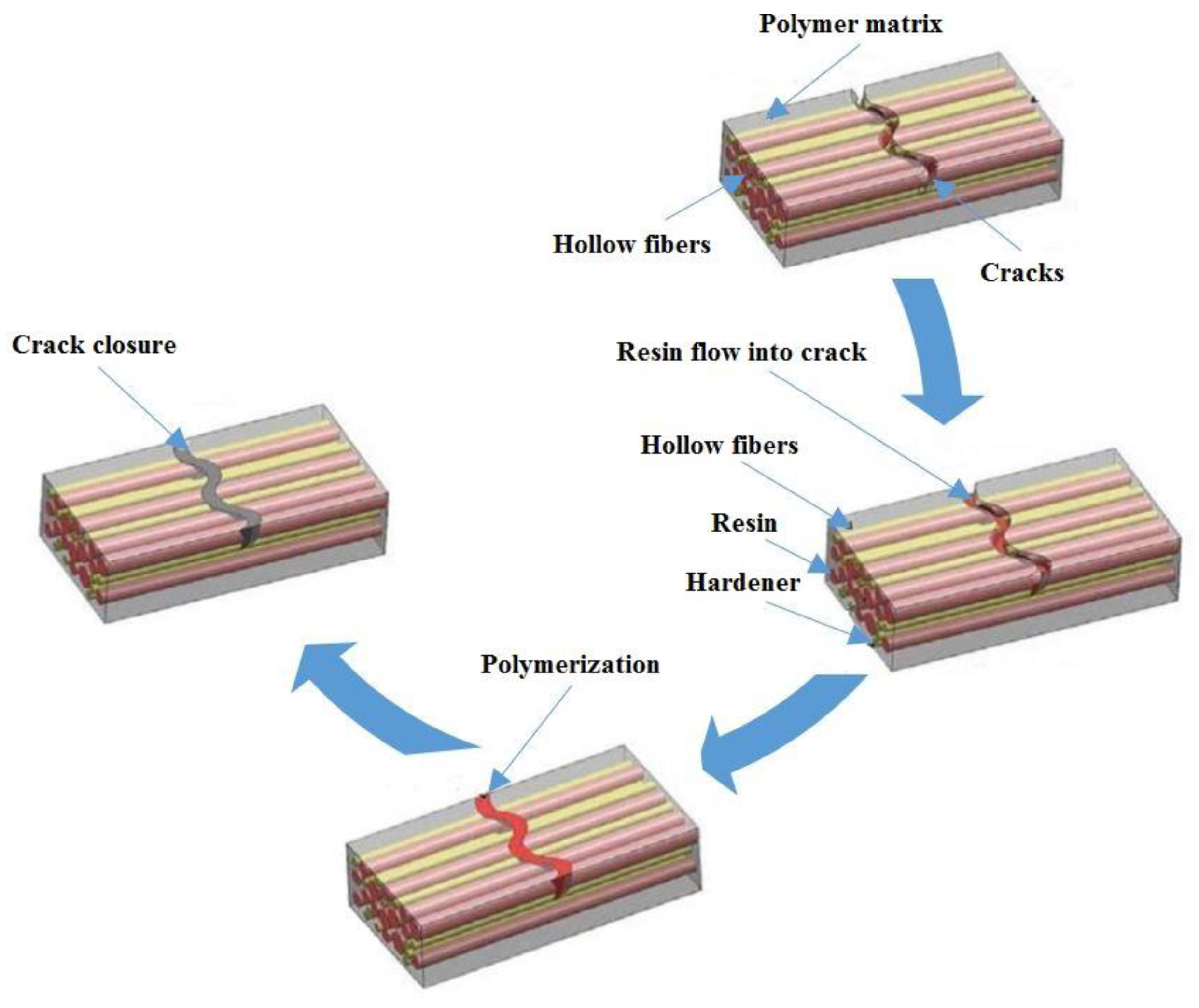 Sustainability 14 01980 g006