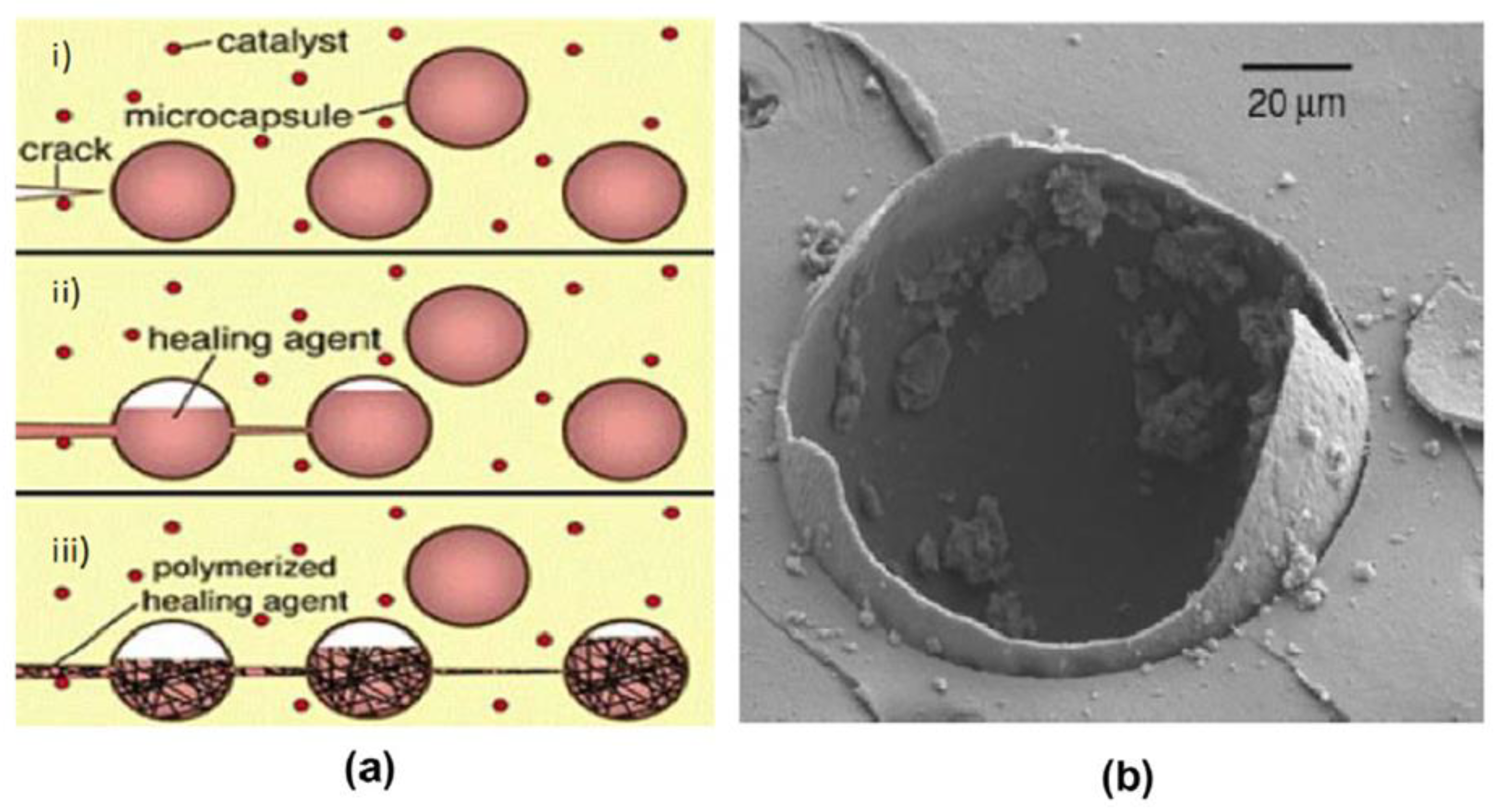 Sustainability 14 01980 g007