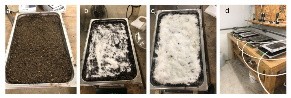 Sustainability 14 01984 g001