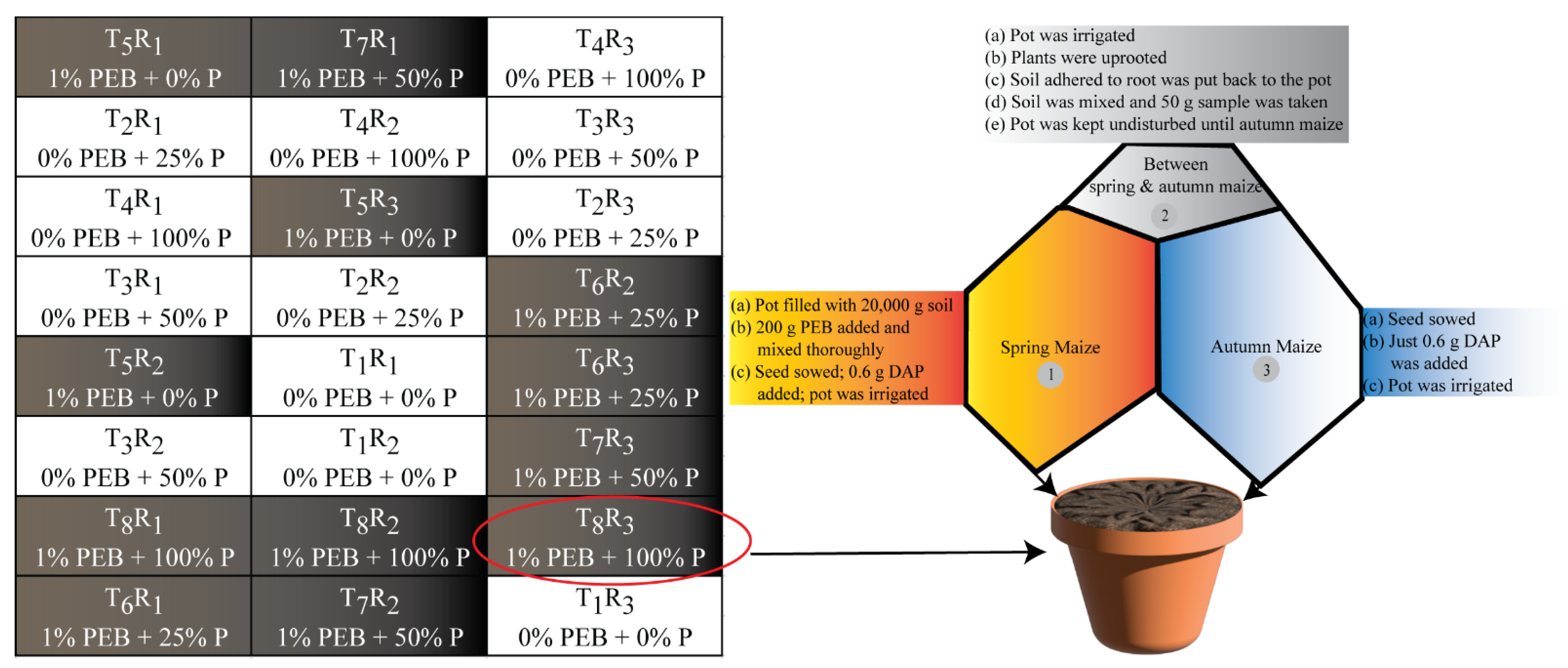 Sustainability 14 01987 g001 550