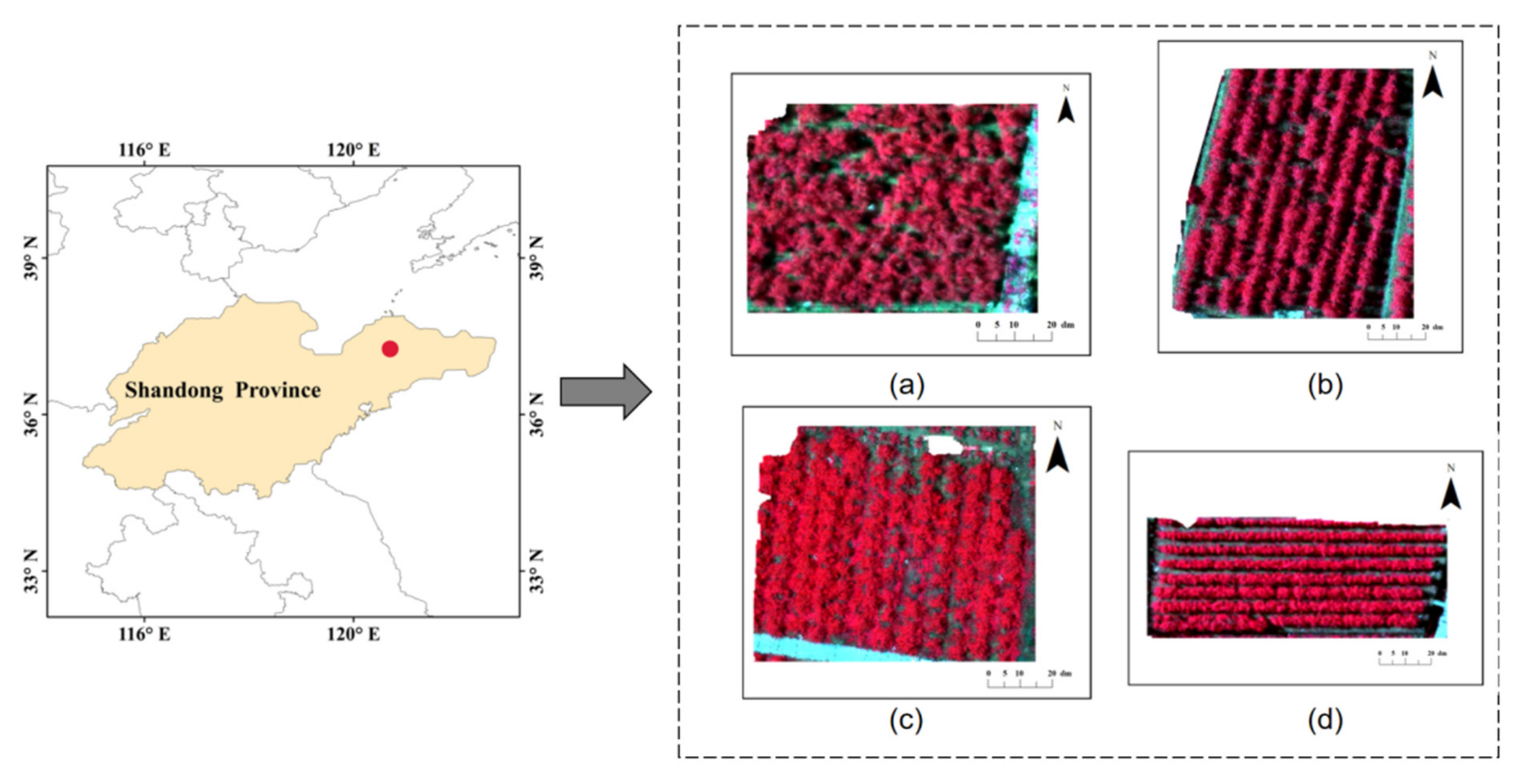 Sustainability 14 01992 g001 550