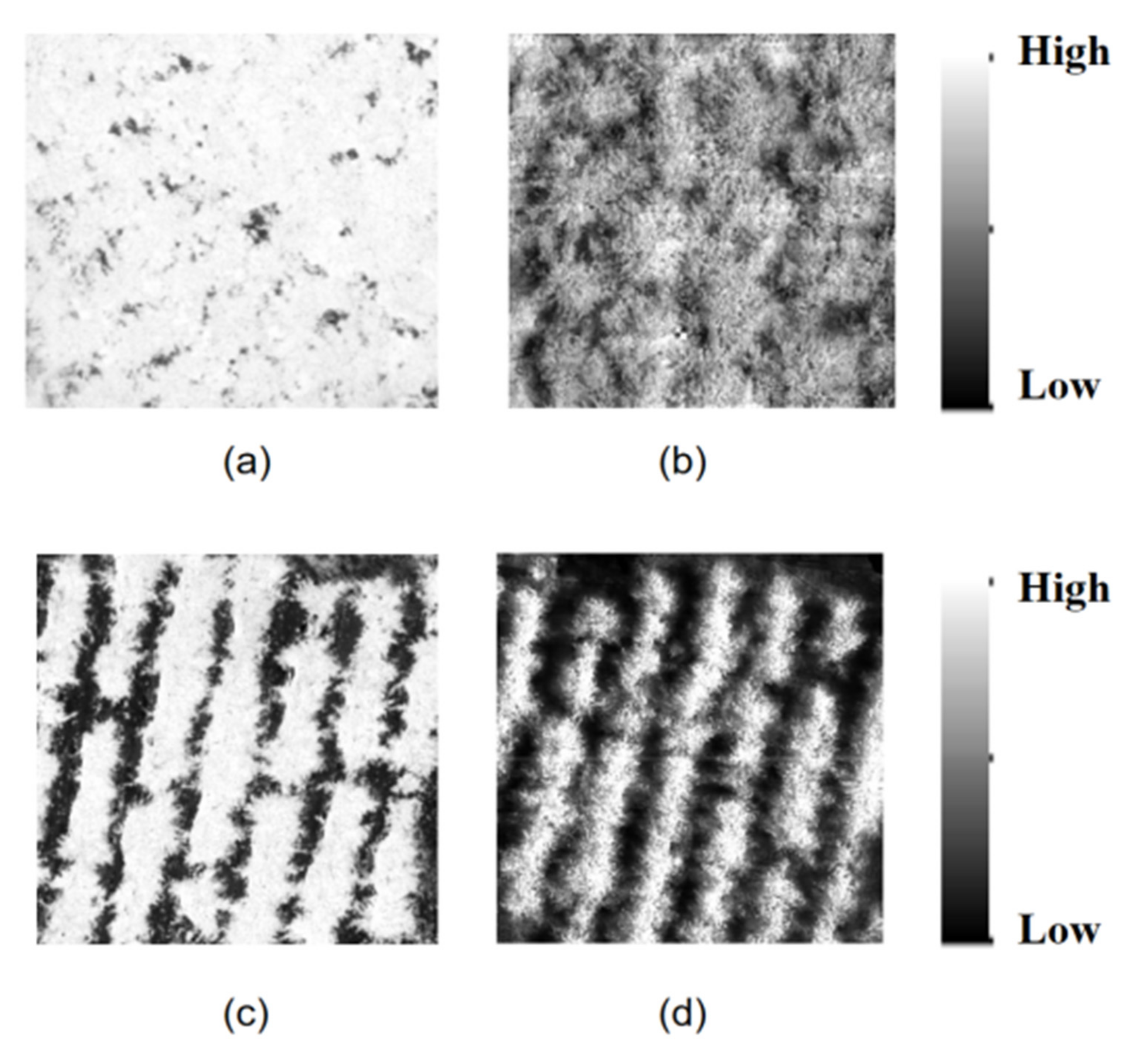 Sustainability 14 01992 g004 550
