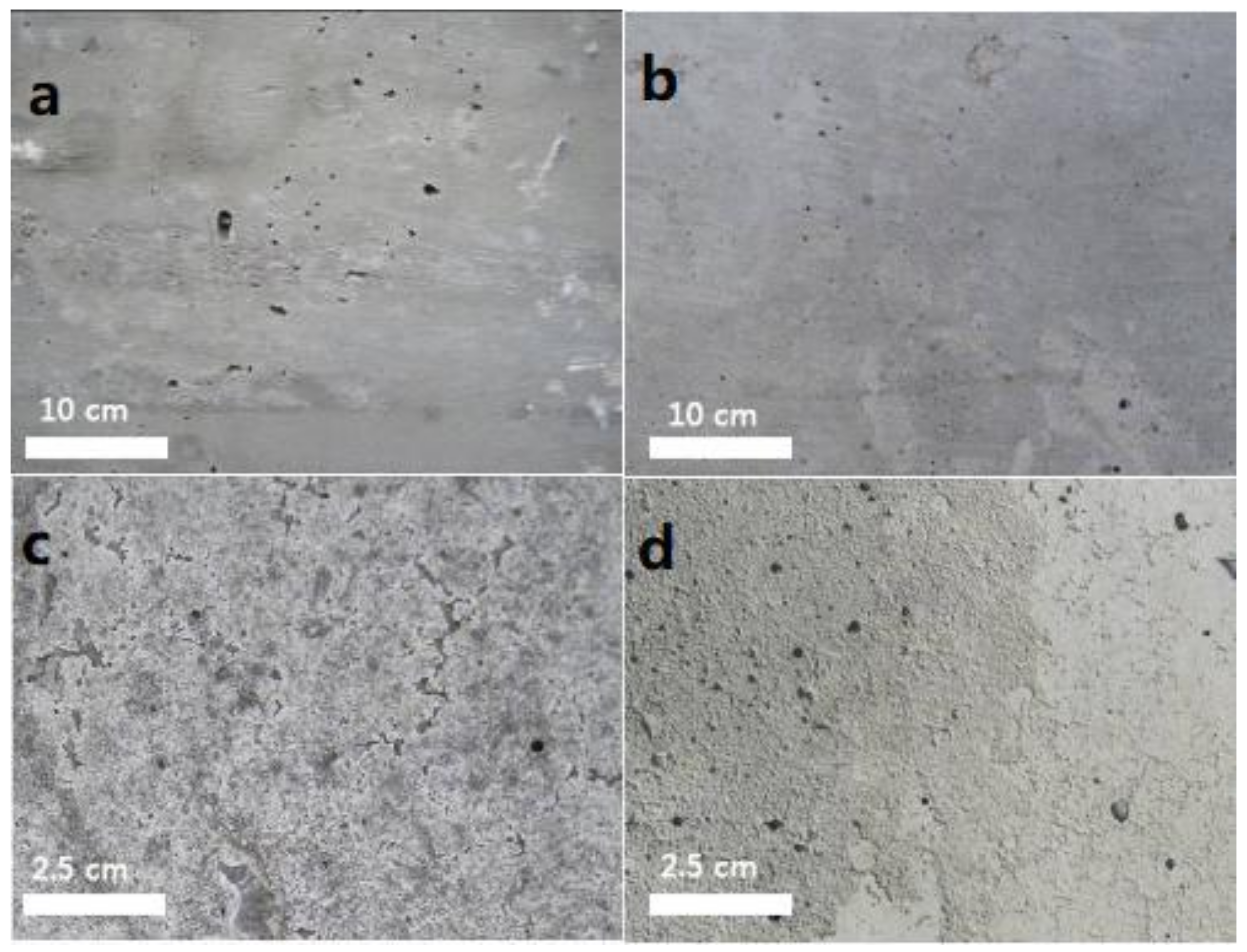 Sustainability 14 01999 g002 550