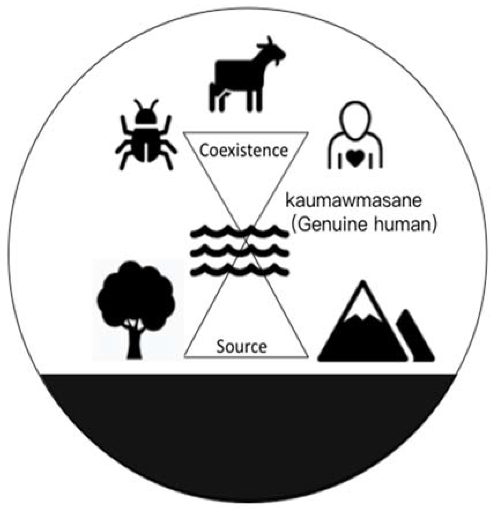 Sustainability 14 02032 g001 550