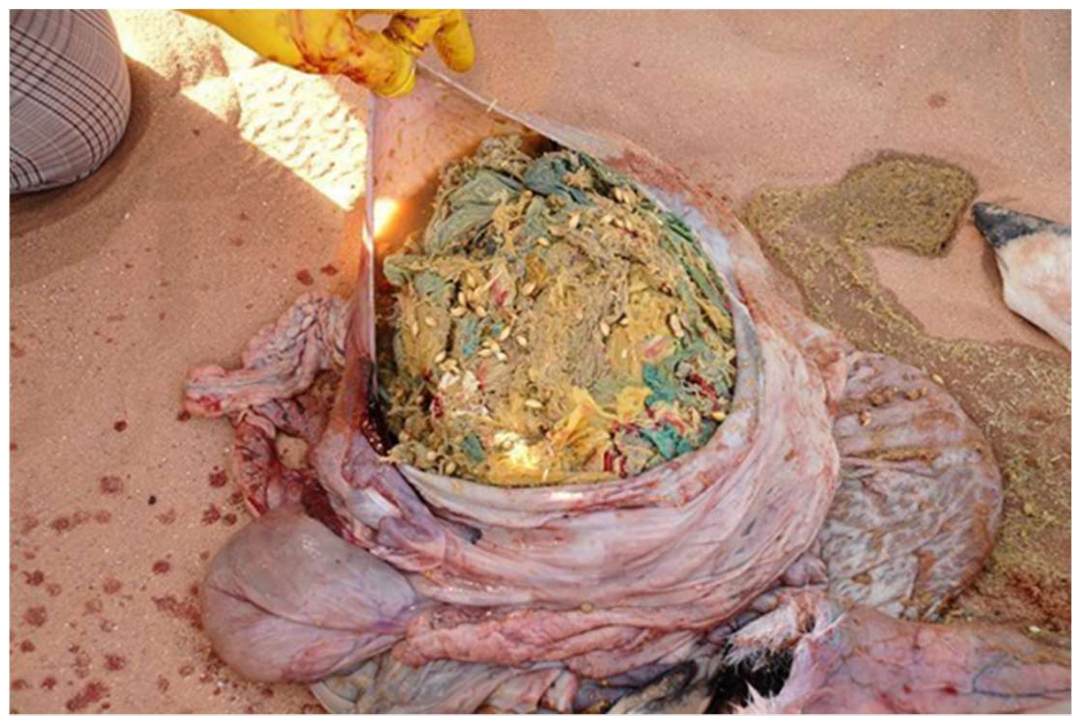 Sustainability 14 02037 g011 550