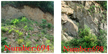 Sustainability 14 02074 i003