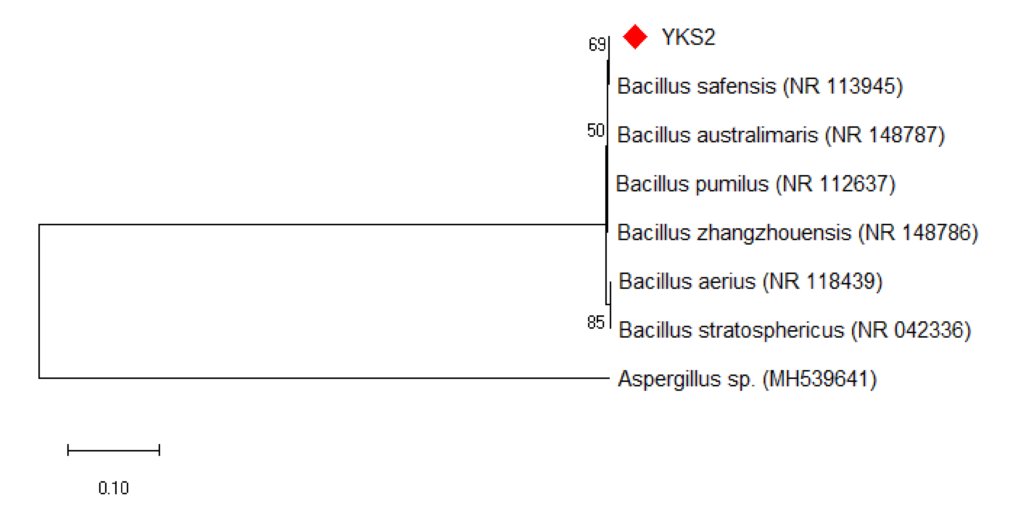 Sustainability 14 02142 g001 550