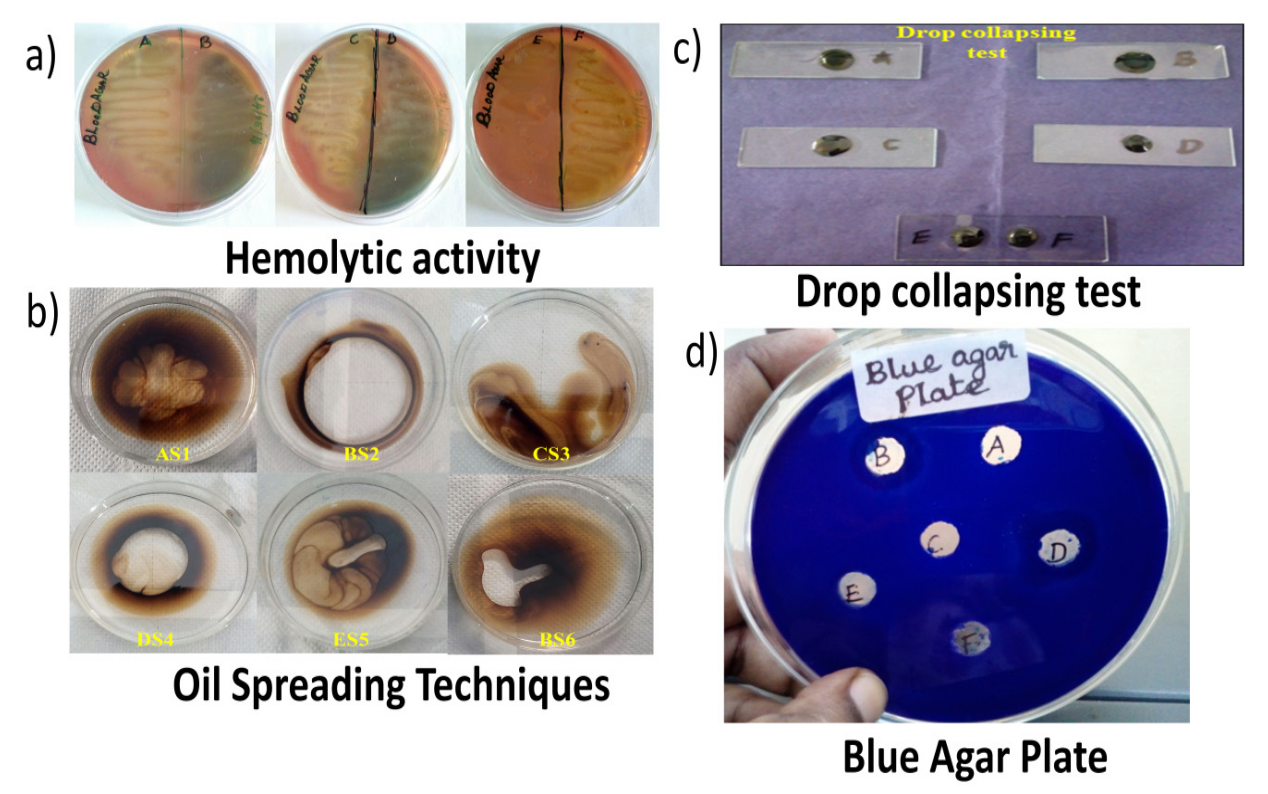 Sustainability 14 02142 g002 550