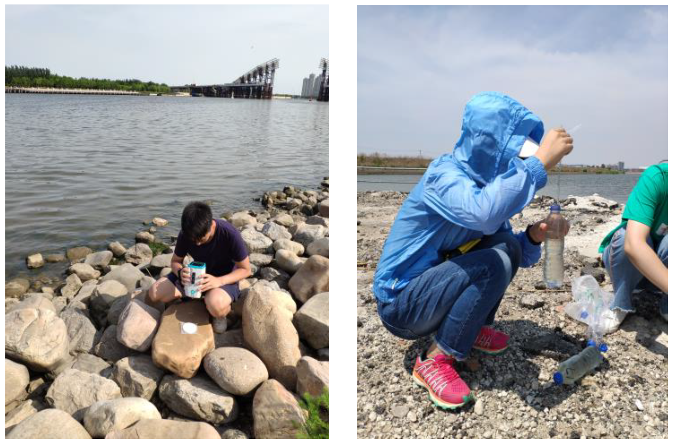 Sustainability 14 02221 g003 550