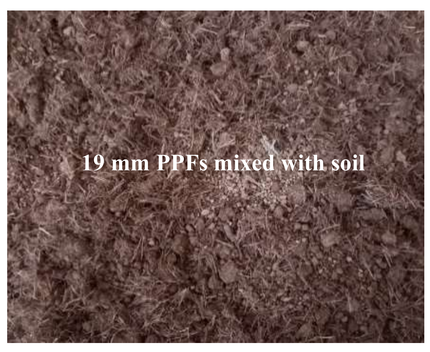 Sustainability 14 02314 g004