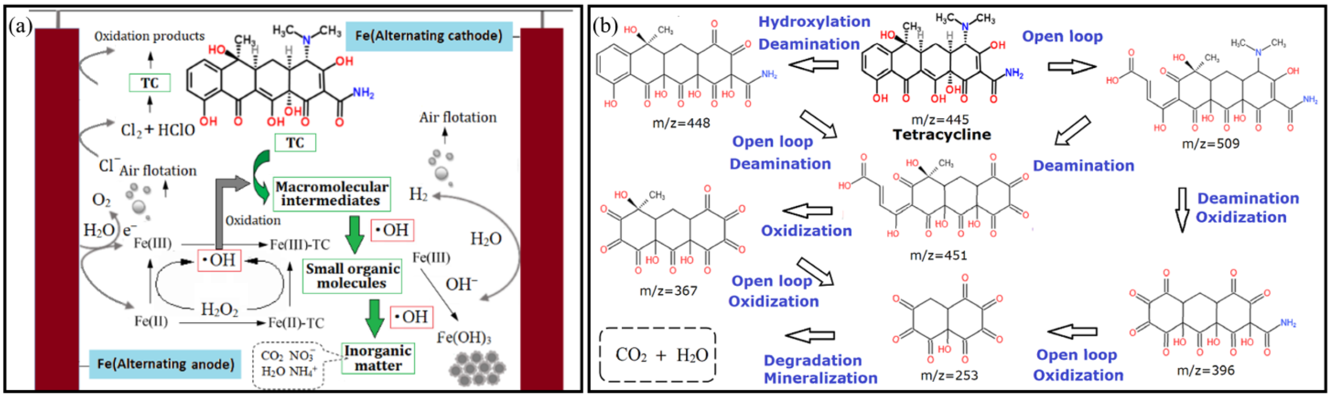 Sustainability 14 02328 g013