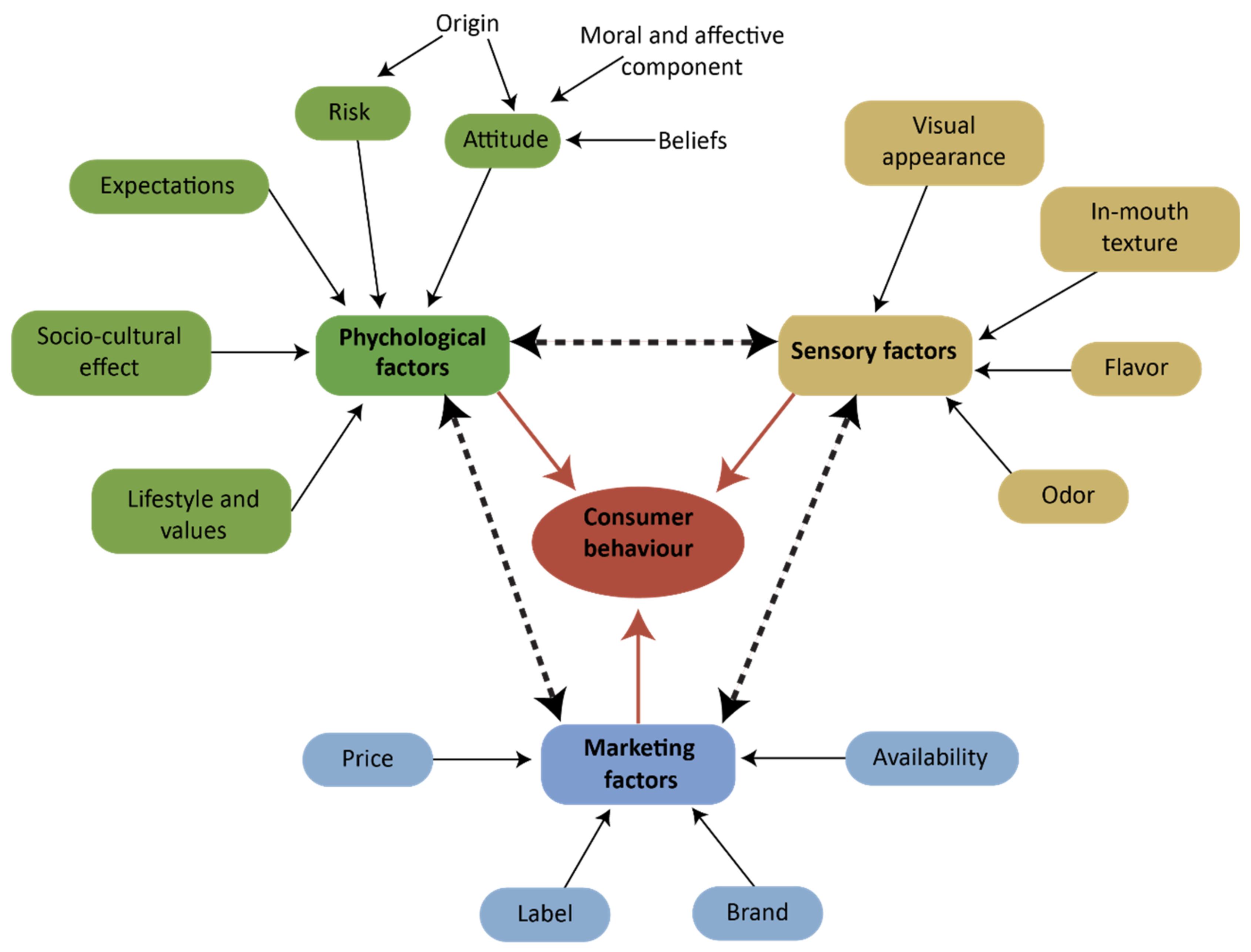 Sustainability 14 02358 g001