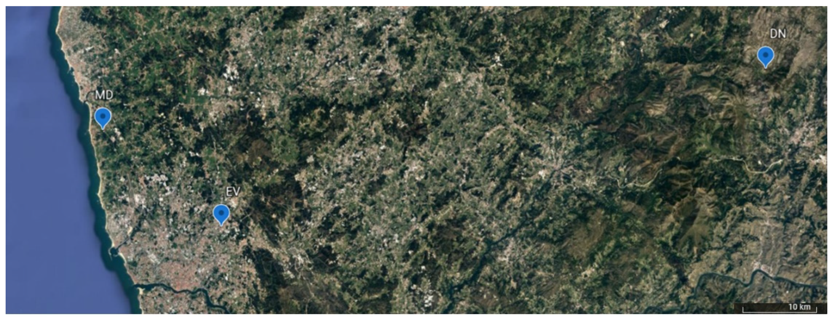 Sustainability 14 02383 g001 550