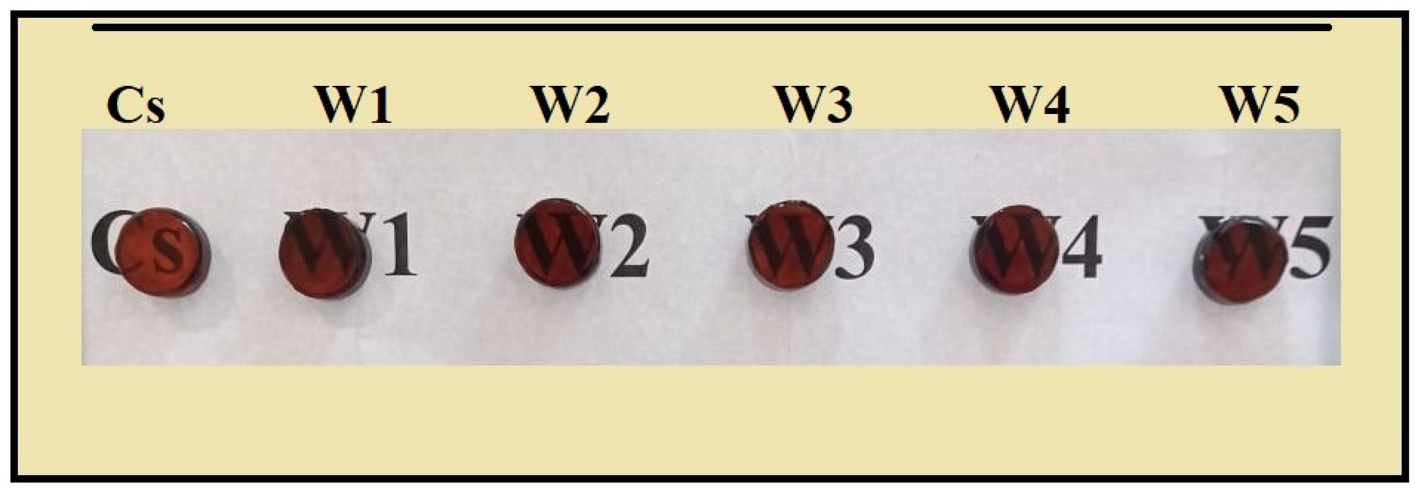 Sustainability 14 02413 g001