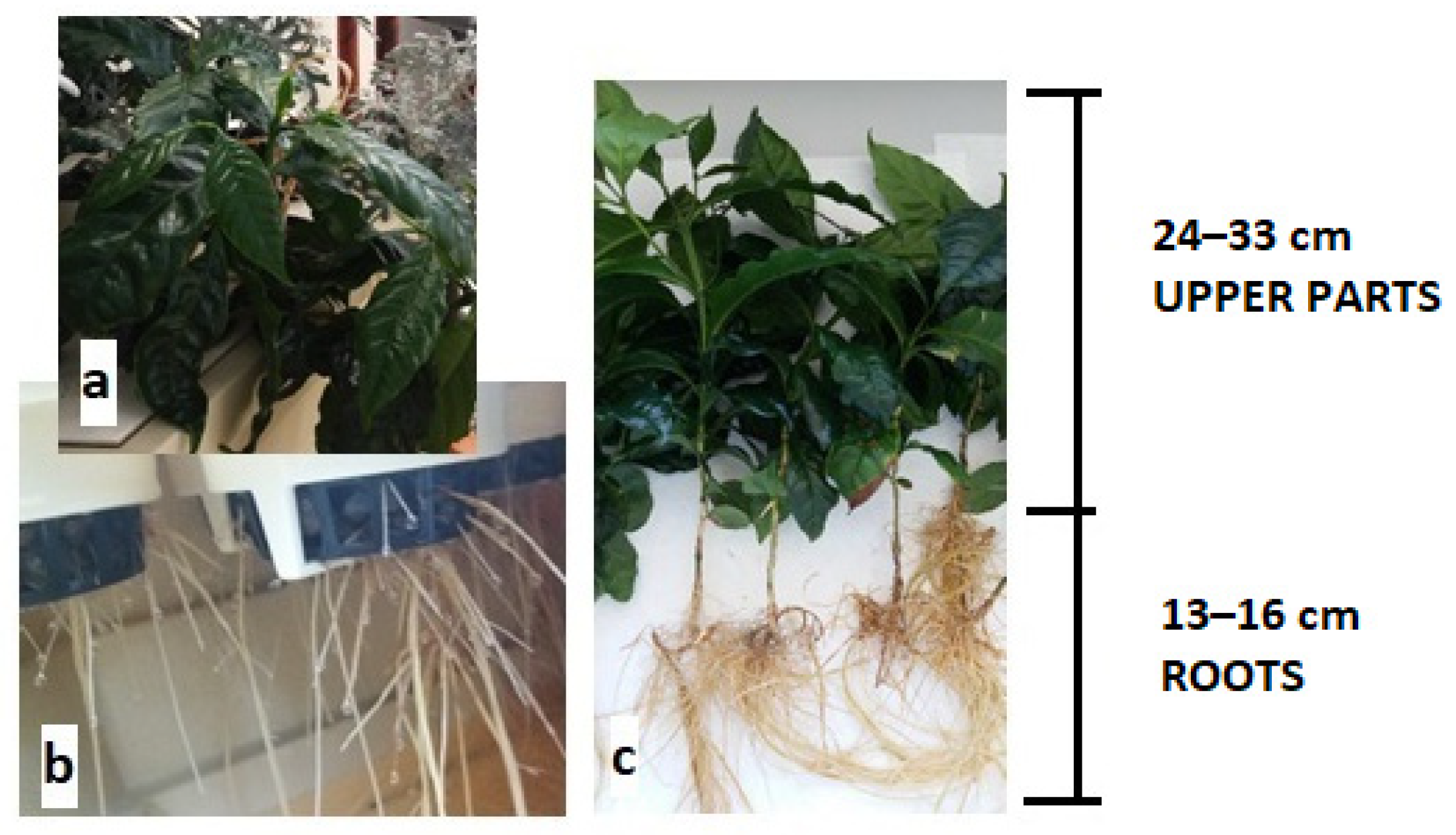 Sustainability 14 02421 g002 550