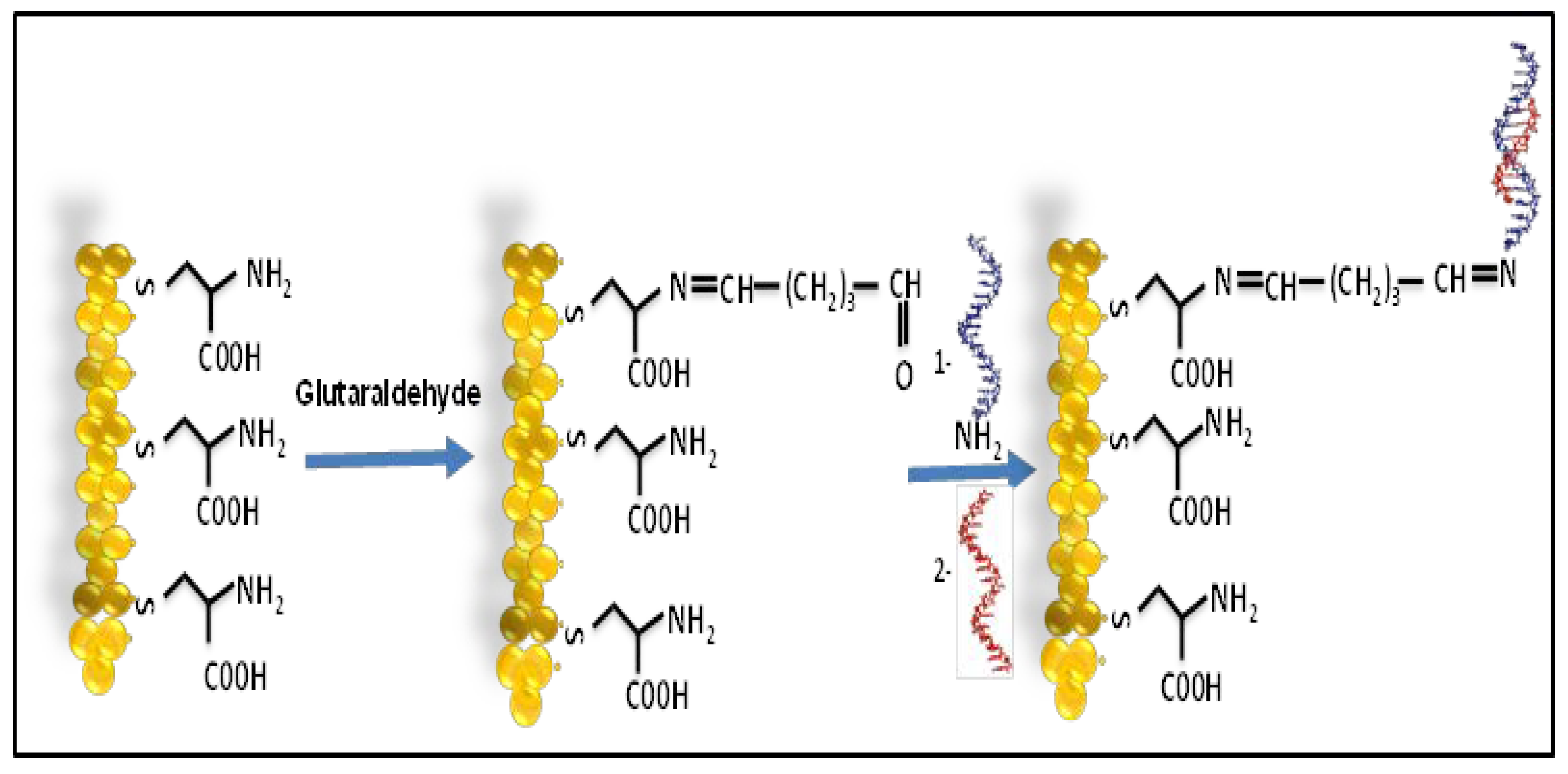 Sustainability 14 02440 g001 550