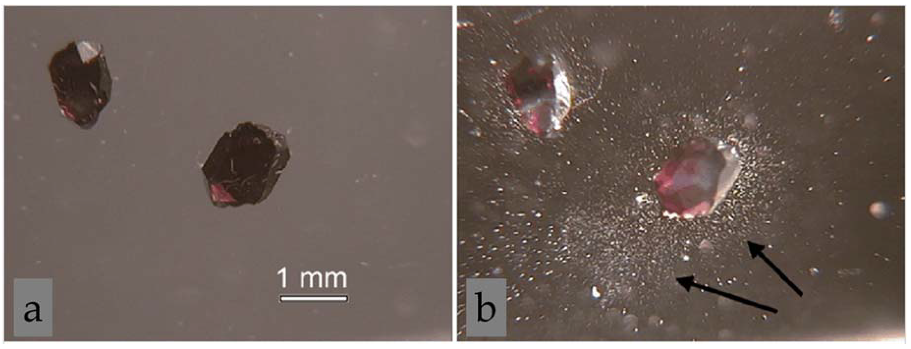 Sustainability 14 02445 g001 550