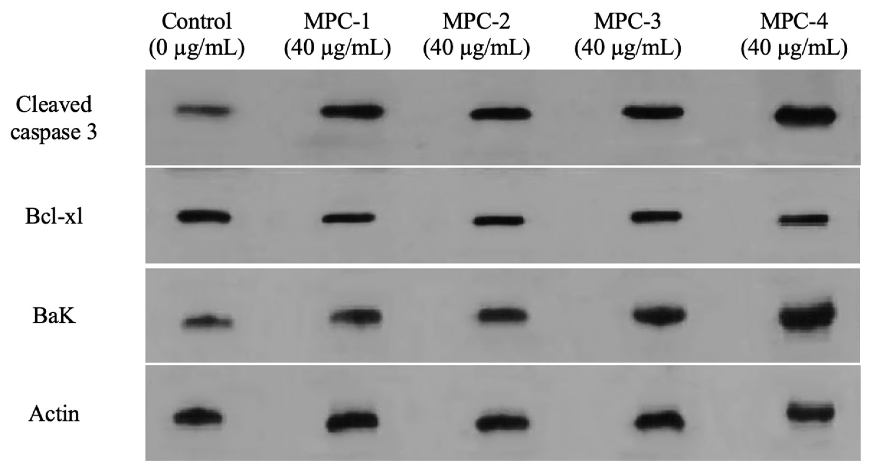 Sustainability 14 02458 g004