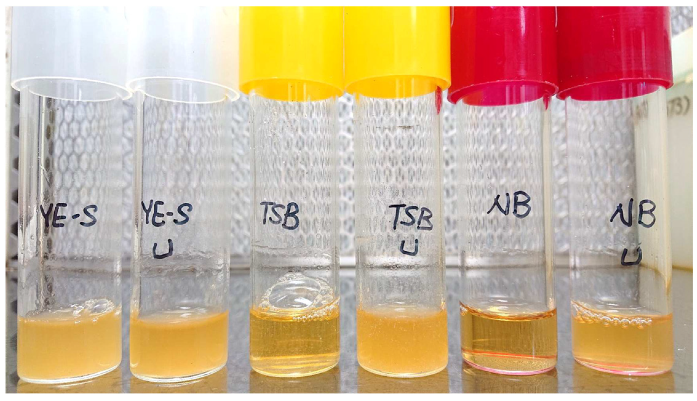 Sustainability 14 02513 g001