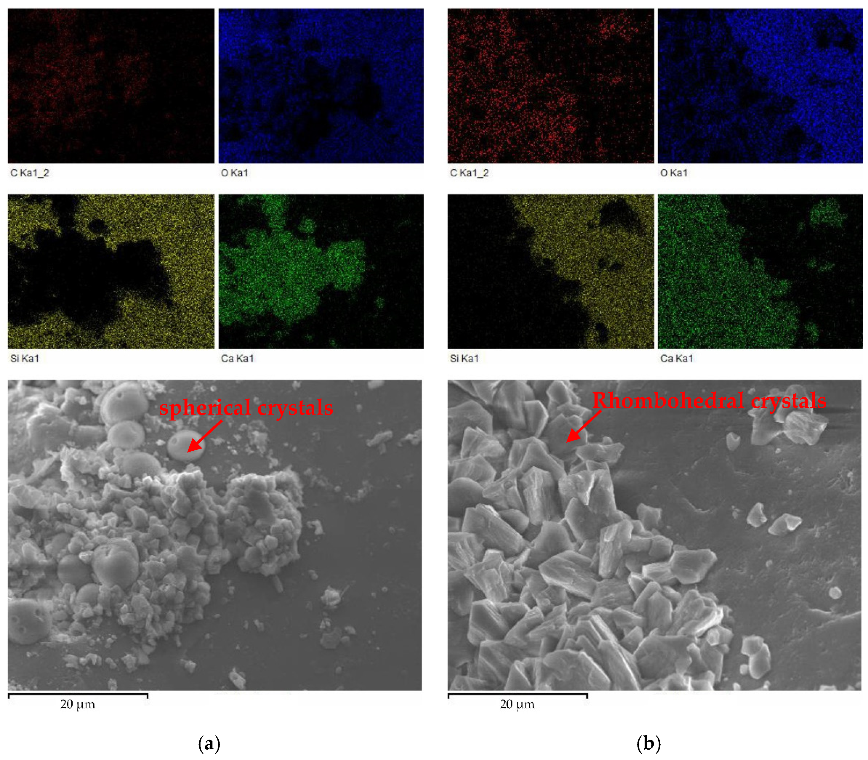Sustainability 14 02513 g011
