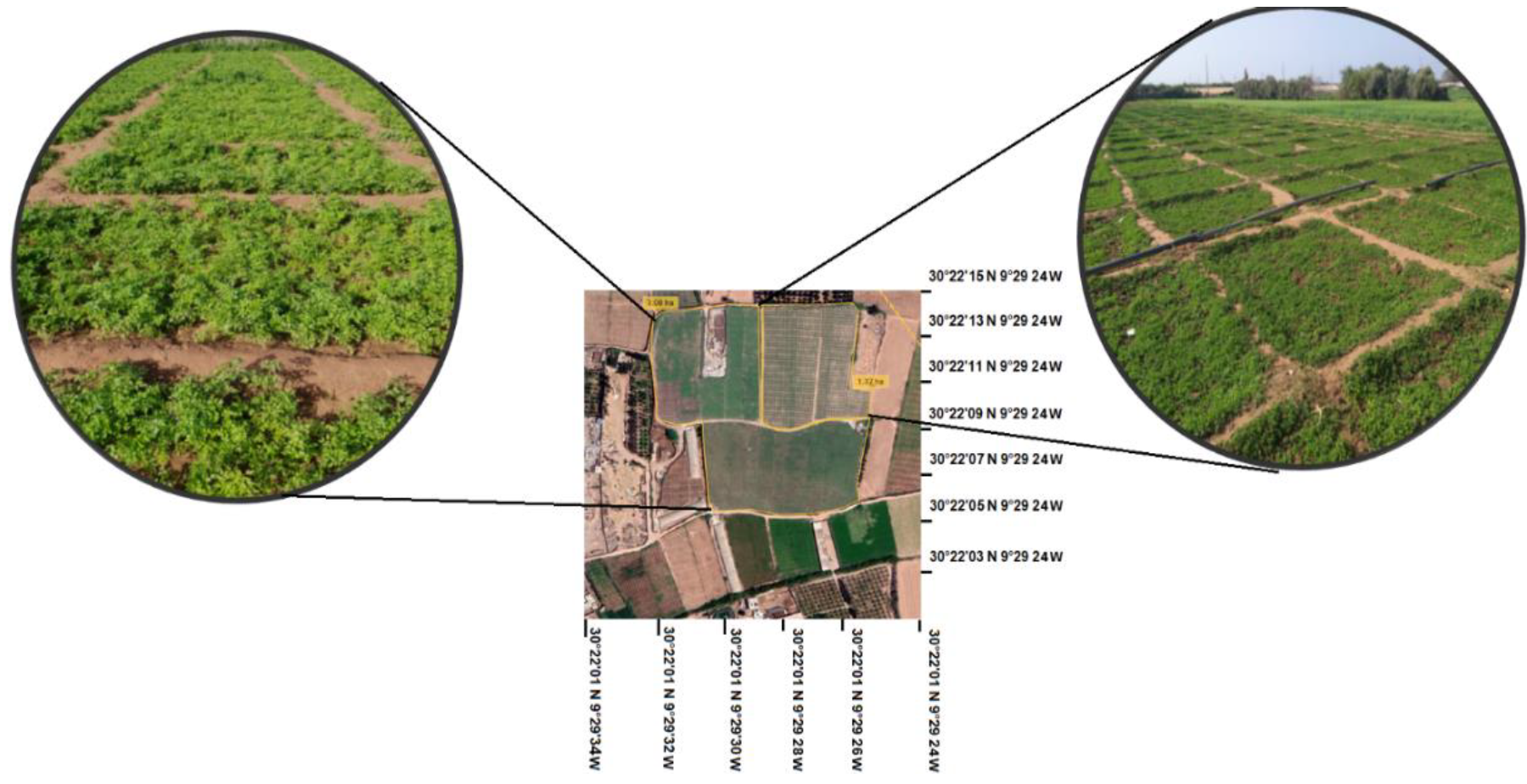 Sustainability 14 02521 g002 550