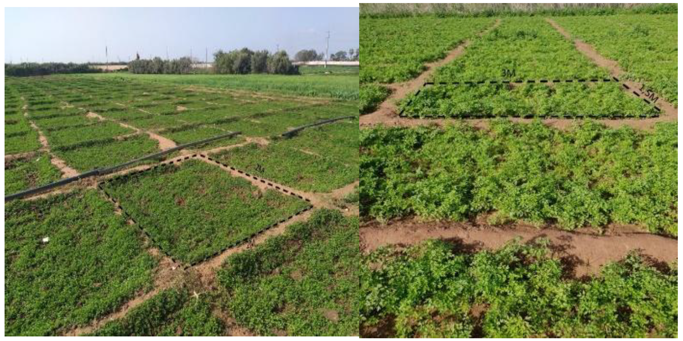 Sustainability 14 02521 g003 550