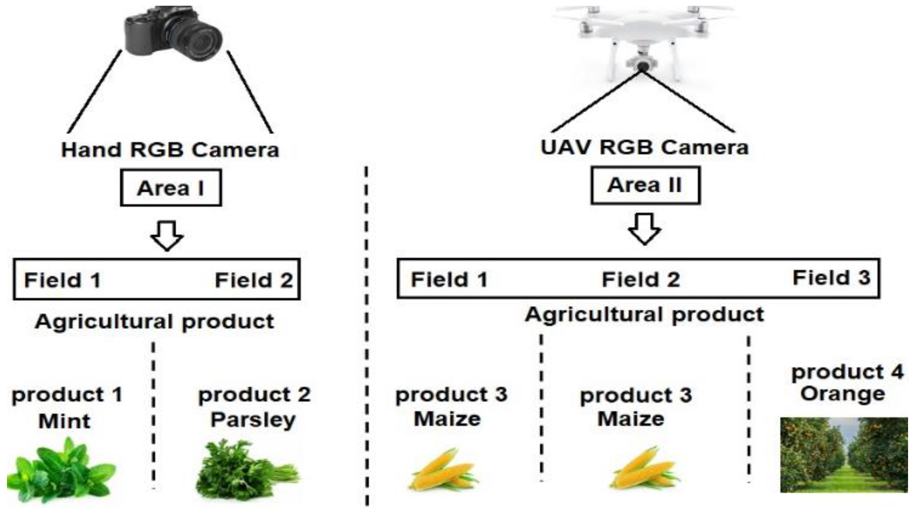 Sustainability 14 02521 g006 550