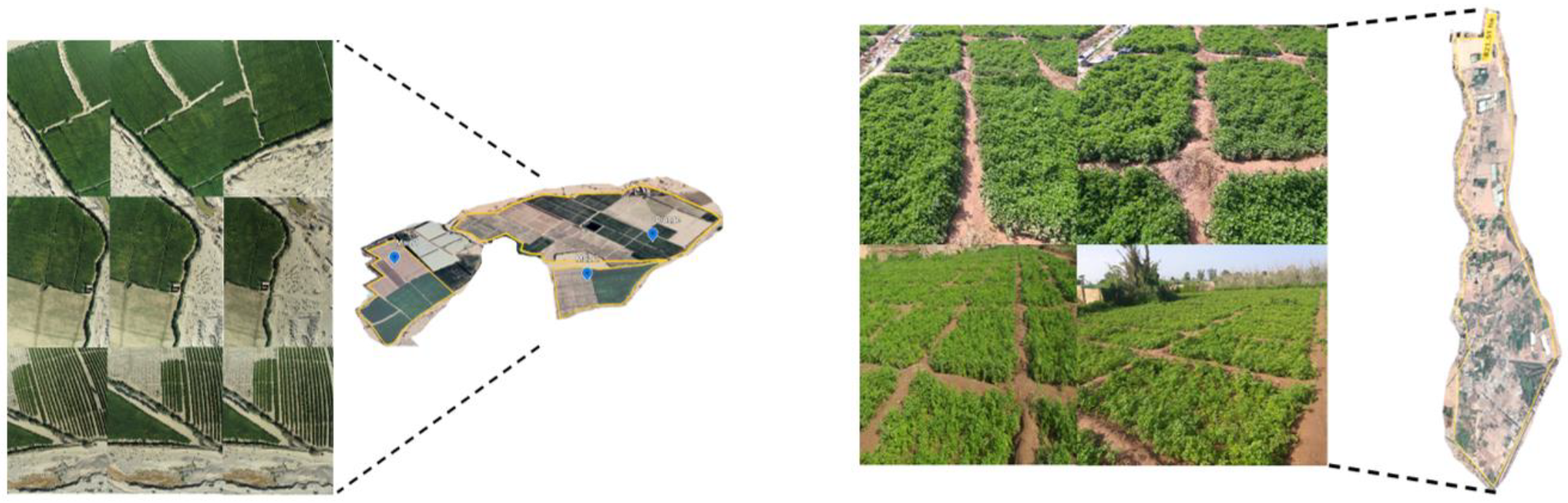 Sustainability 14 02521 g008 550