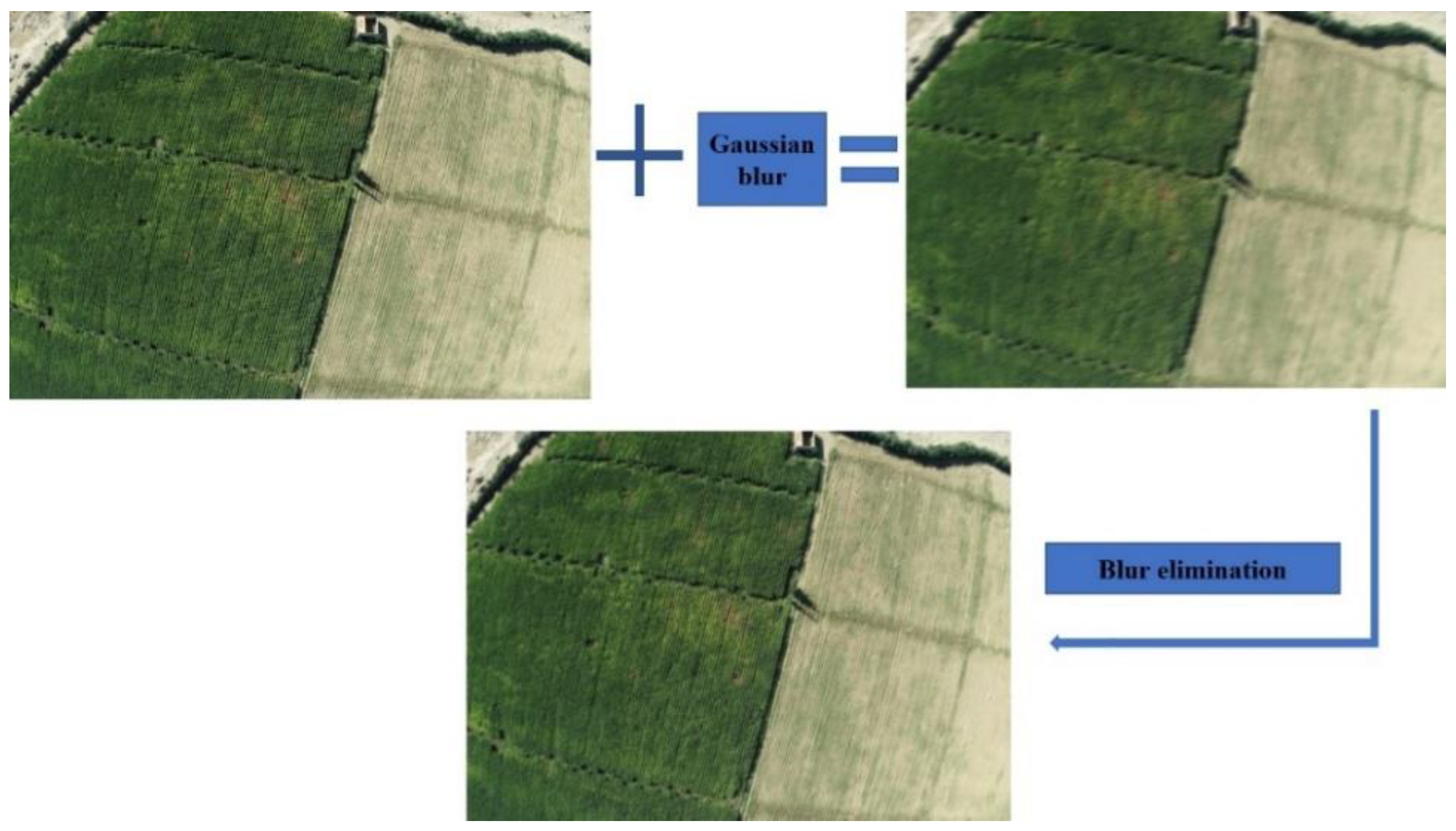 Sustainability 14 02521 g017 550