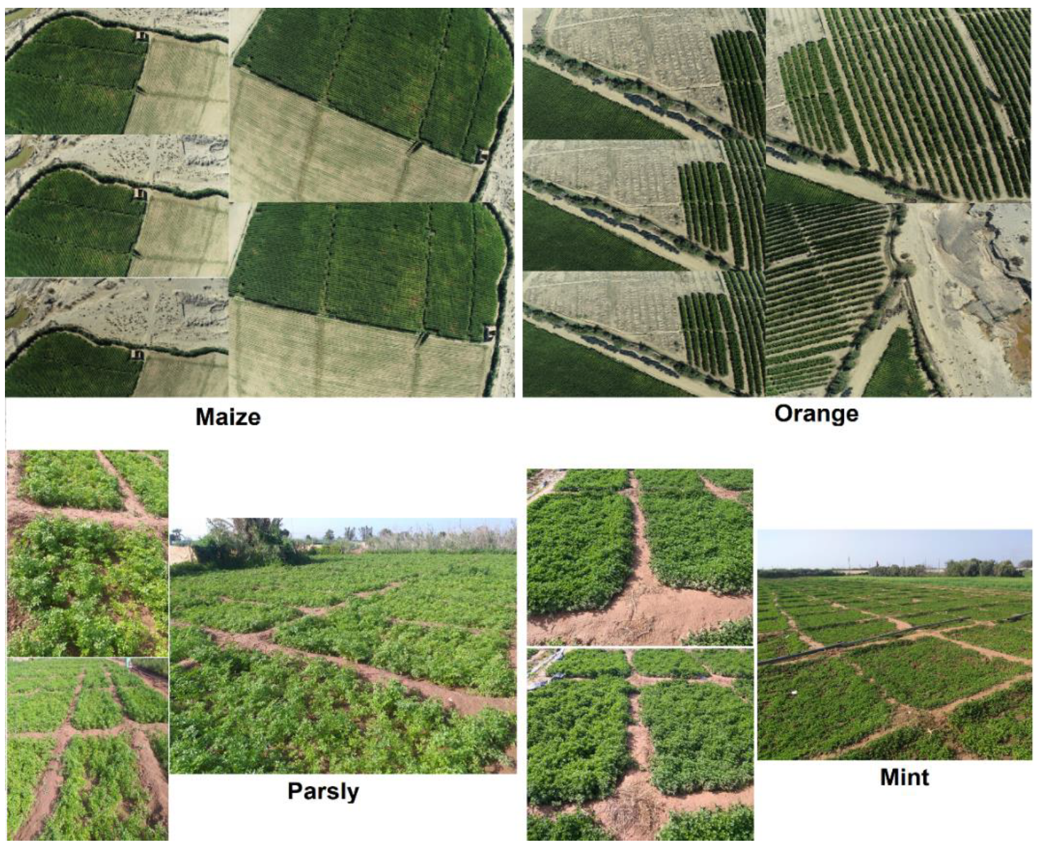 Sustainability 14 02521 g018 550